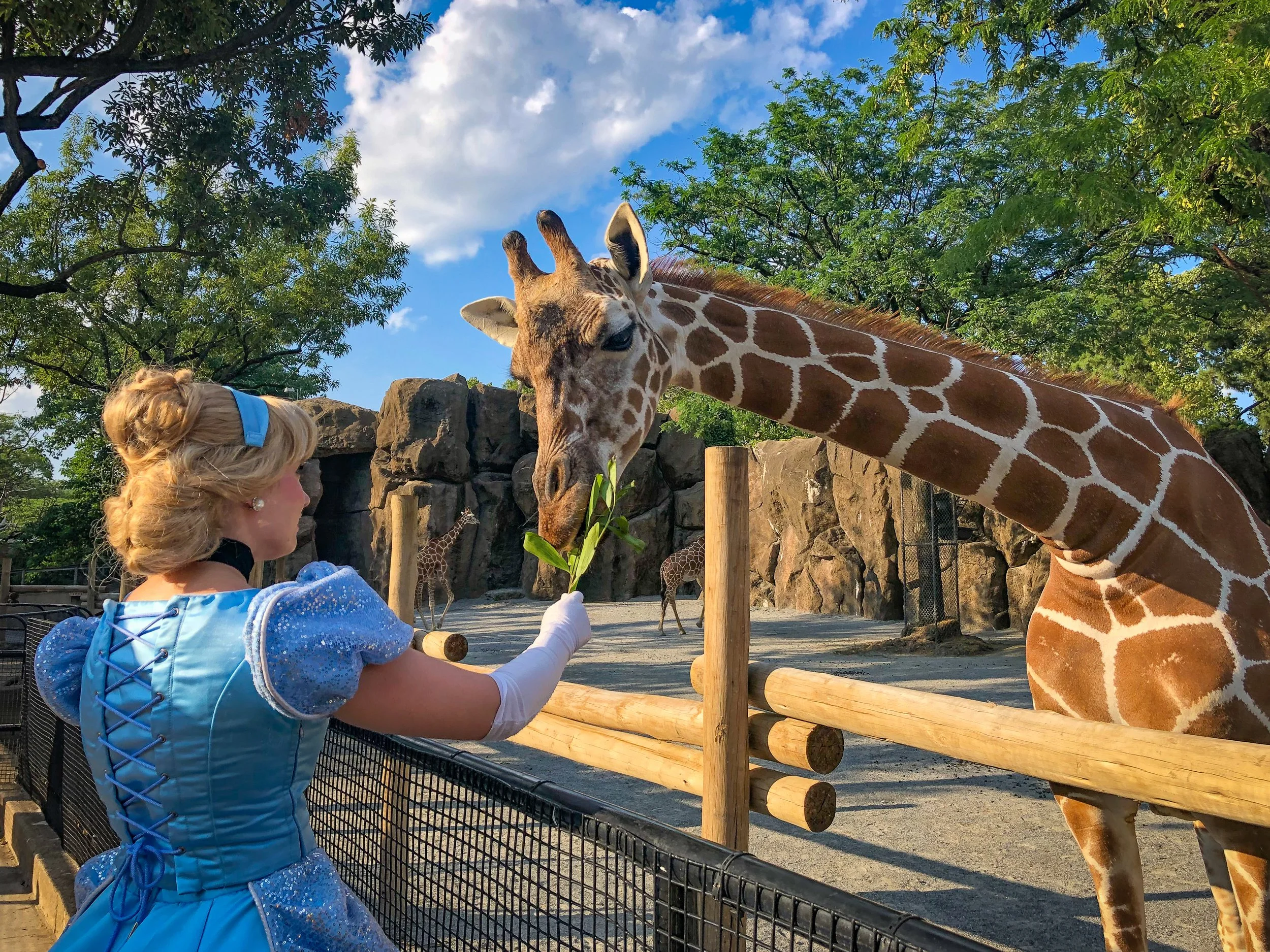 Boo at Philadelphia Zoo Expands: Five Weekends, Pumpkin Feedings, Fall Surprises, Costume Contests
