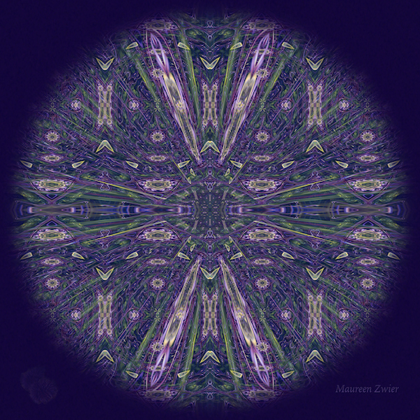 SeaUrchinMandala.jpg