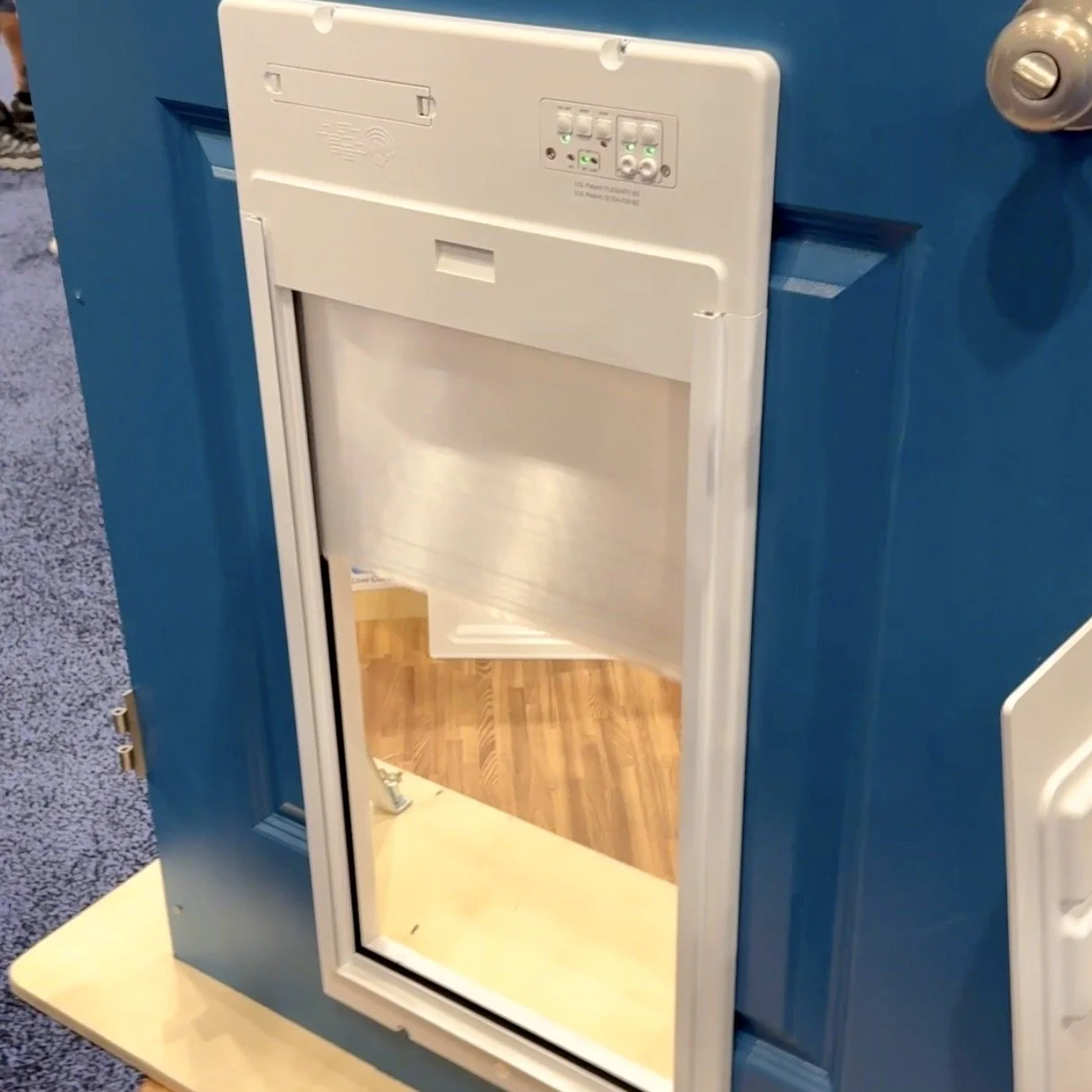 Electric Dog Door 