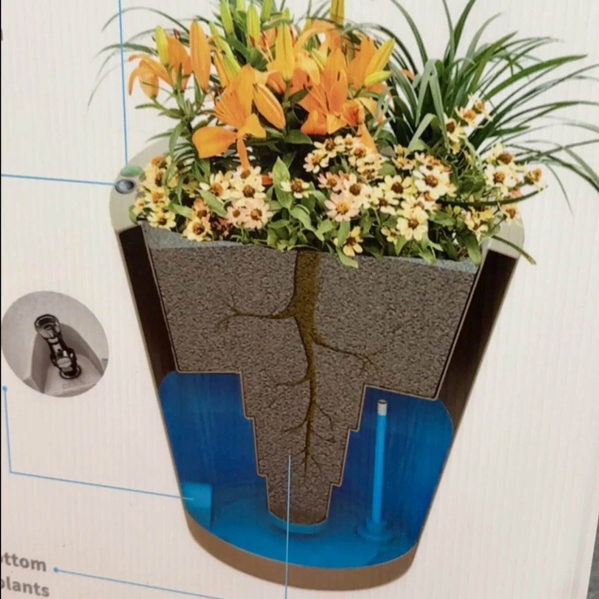 Self Watering Planters
