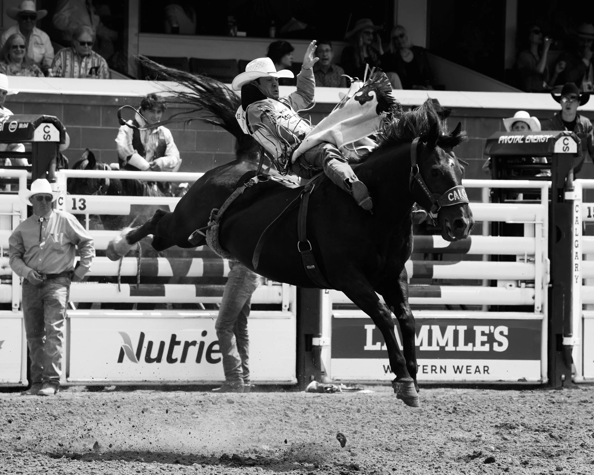 STAMPEDE_FINAL_EDIT_158.jpg