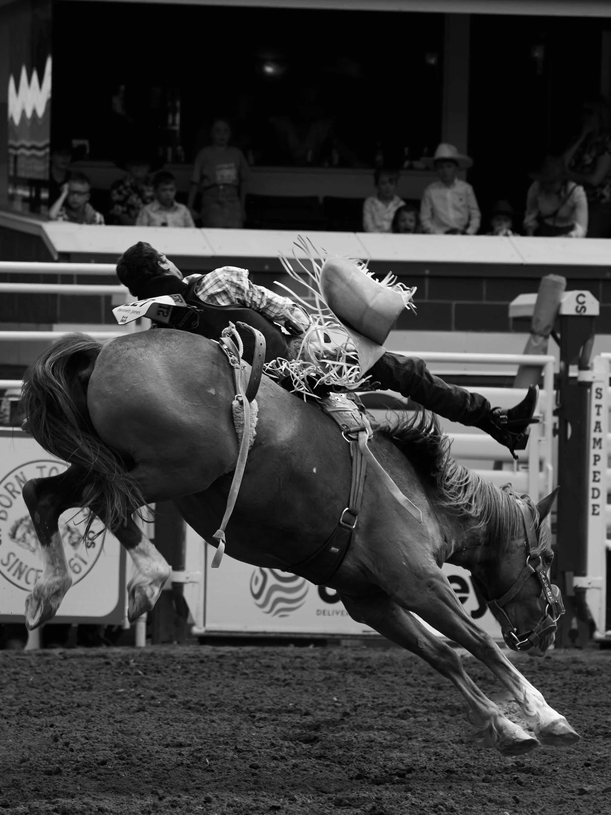 STAMPEDE_FINAL_EDIT_164.jpg