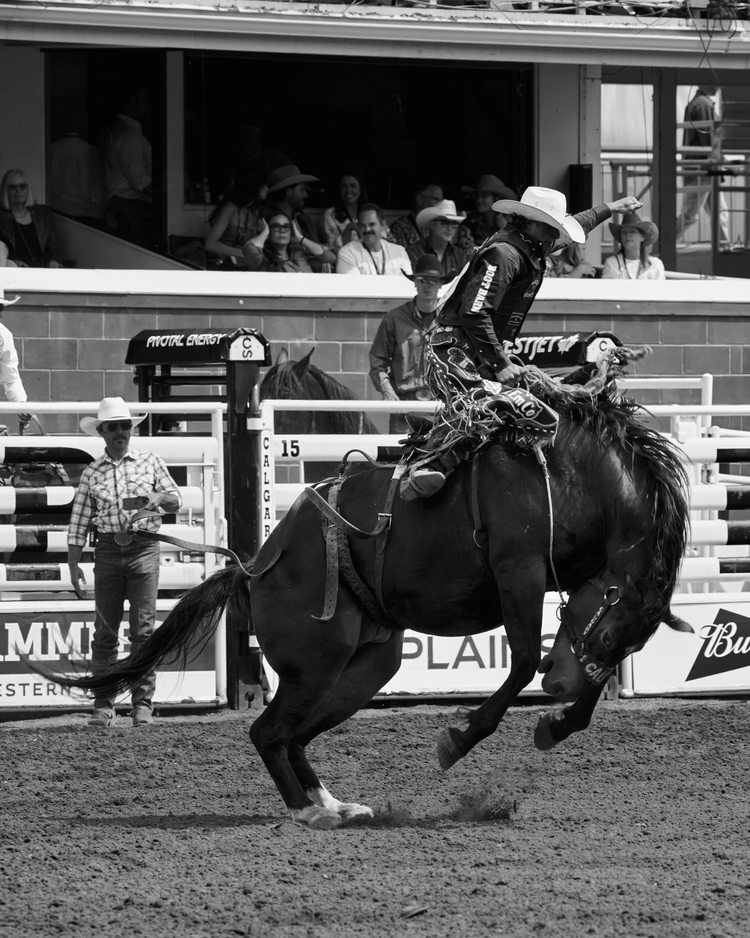 STAMPEDE_FINAL_EDIT_169.jpg