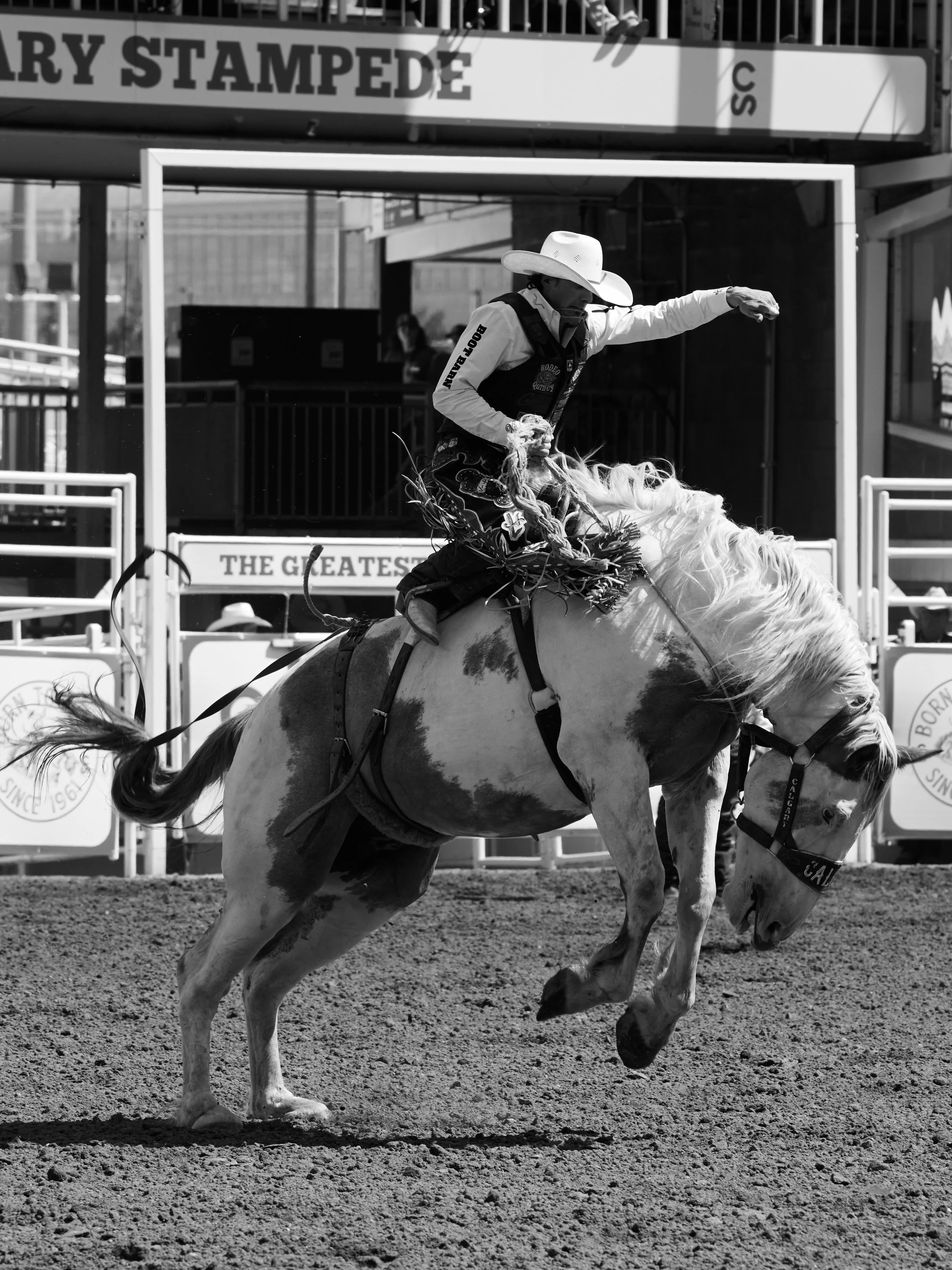 STAMPEDE_FINAL_EDIT_189.jpg