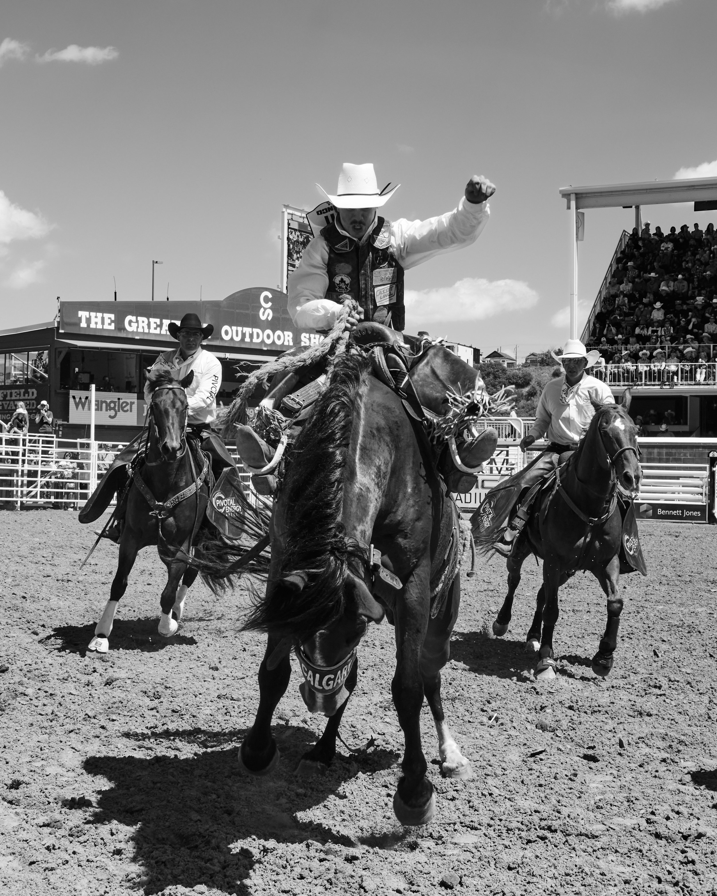STAMPEDE_FINAL_EDIT_183.jpg