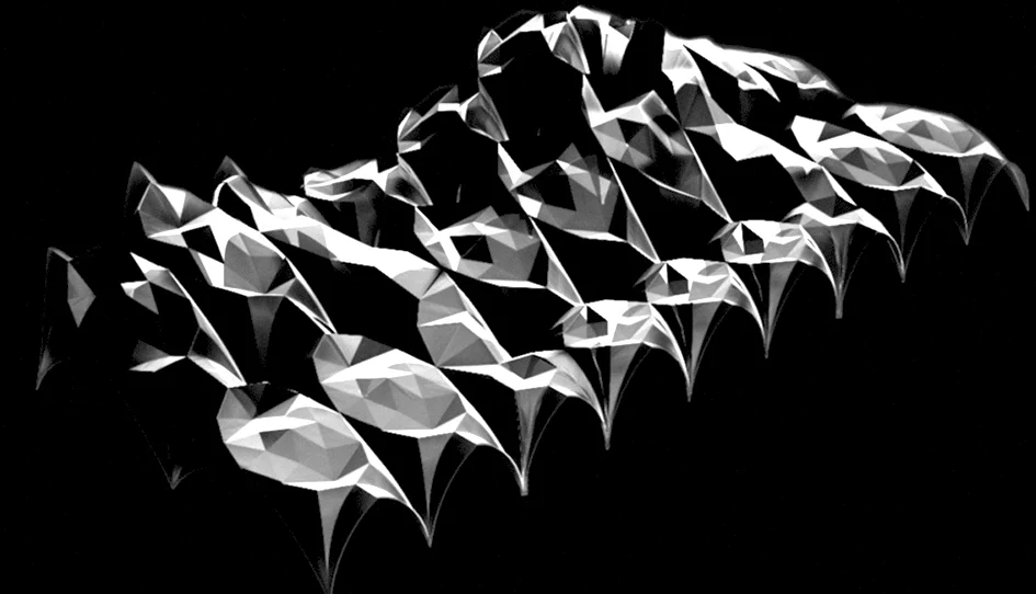 ribvault_alpha copy.jpg