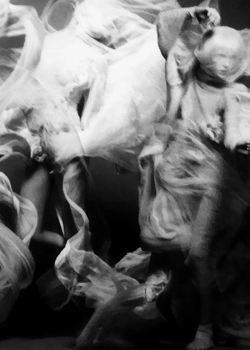 INVITATION TO THE DANCE WITH ELENA SUDAKOVA