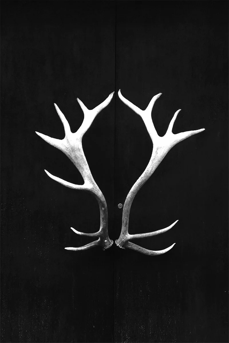 A DOOR I OFTEN PASS ON THE WAY TO WORK