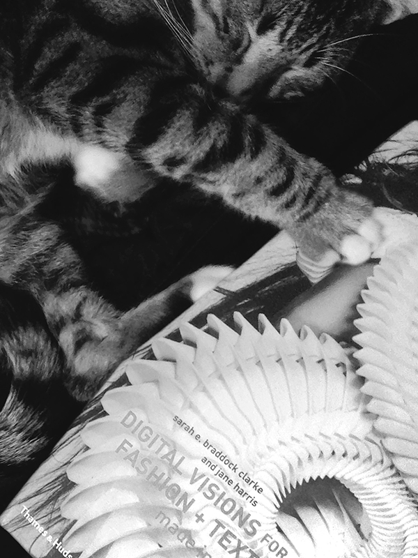 OSCAR HAS GOOD TASTE