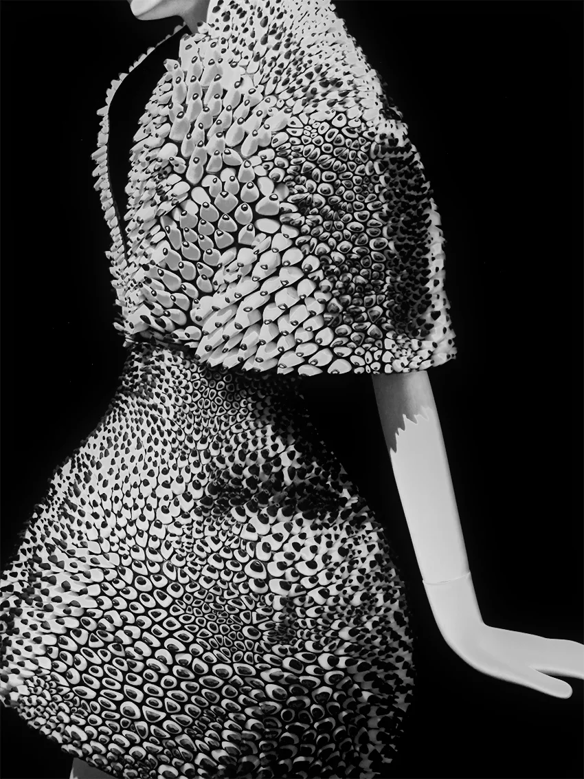 Cape and Skirt,&nbsp;Neri Oxman + Iris van Herpen, 2013