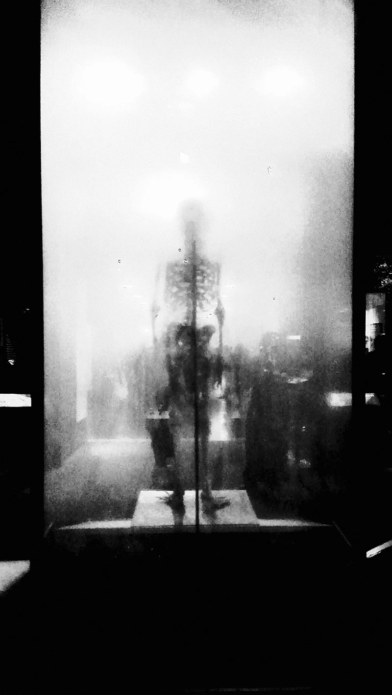 American Museum of Natural History.