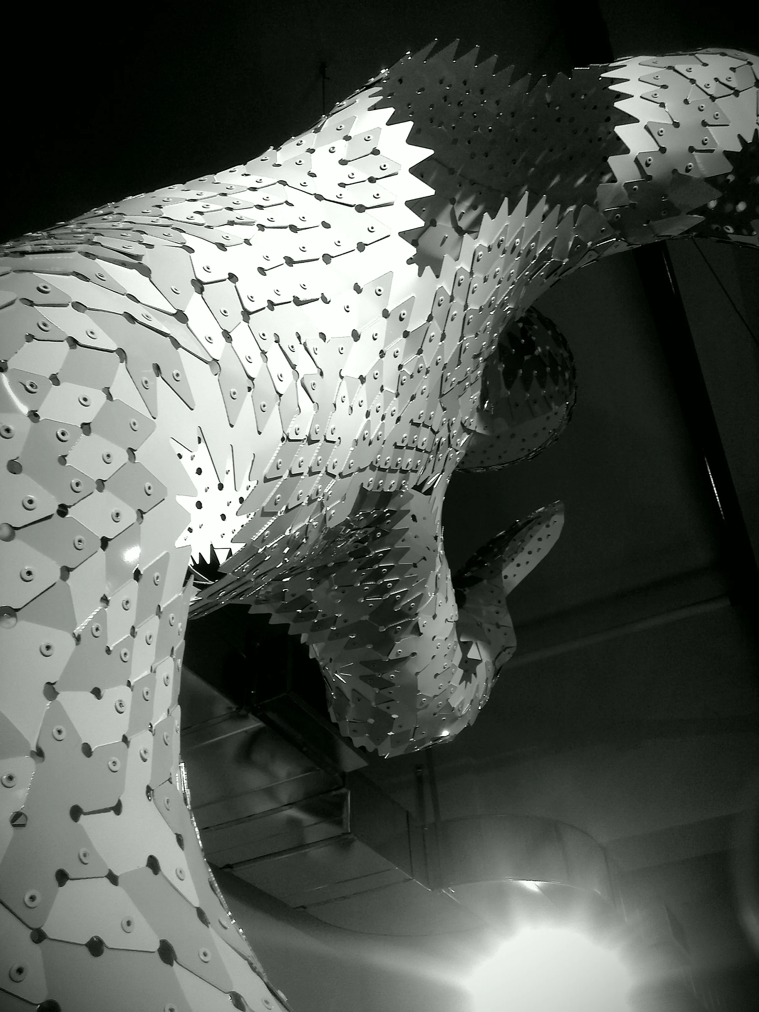 imag0658_1_1.jpg