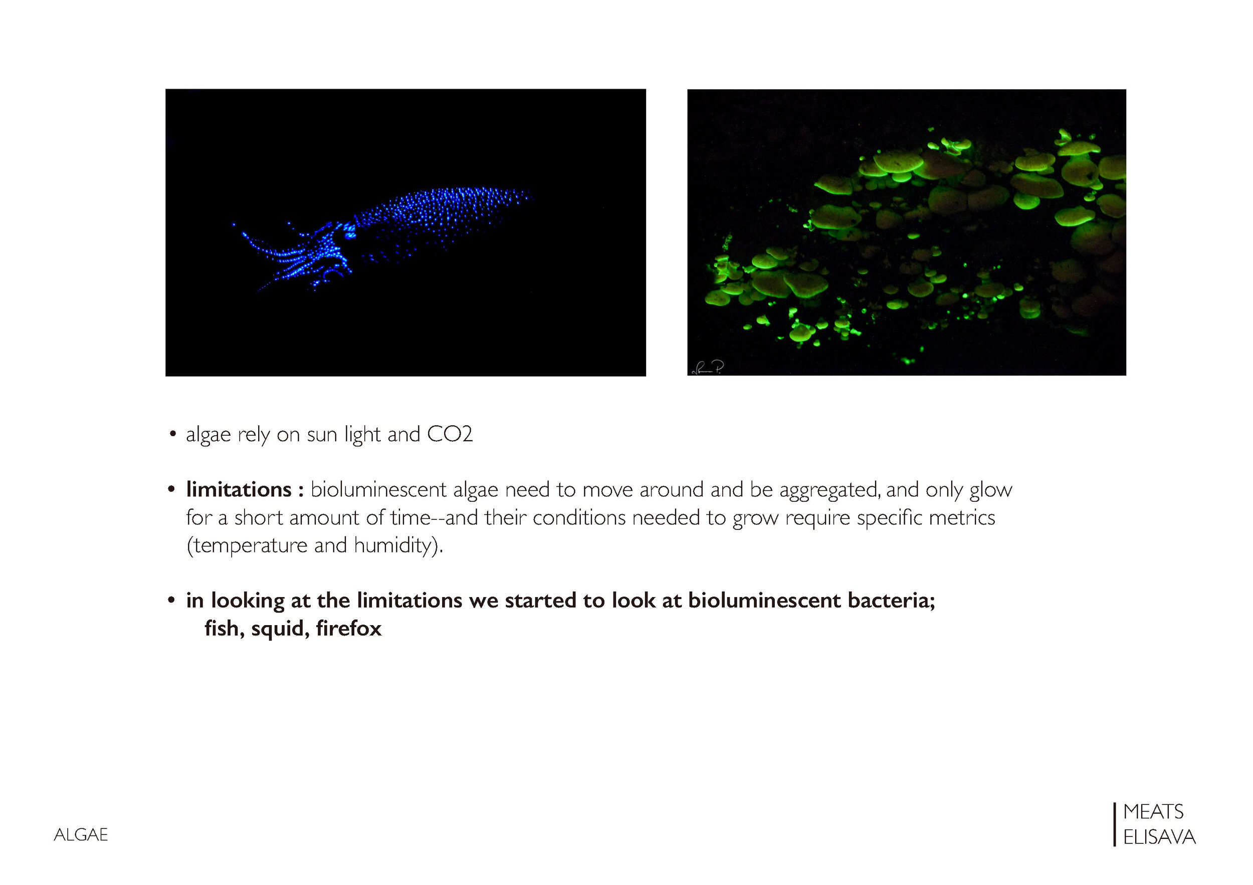 UNIT2.1 LLUMBCN HONGO - B.L.O.O.M. project _Page_04.jpg