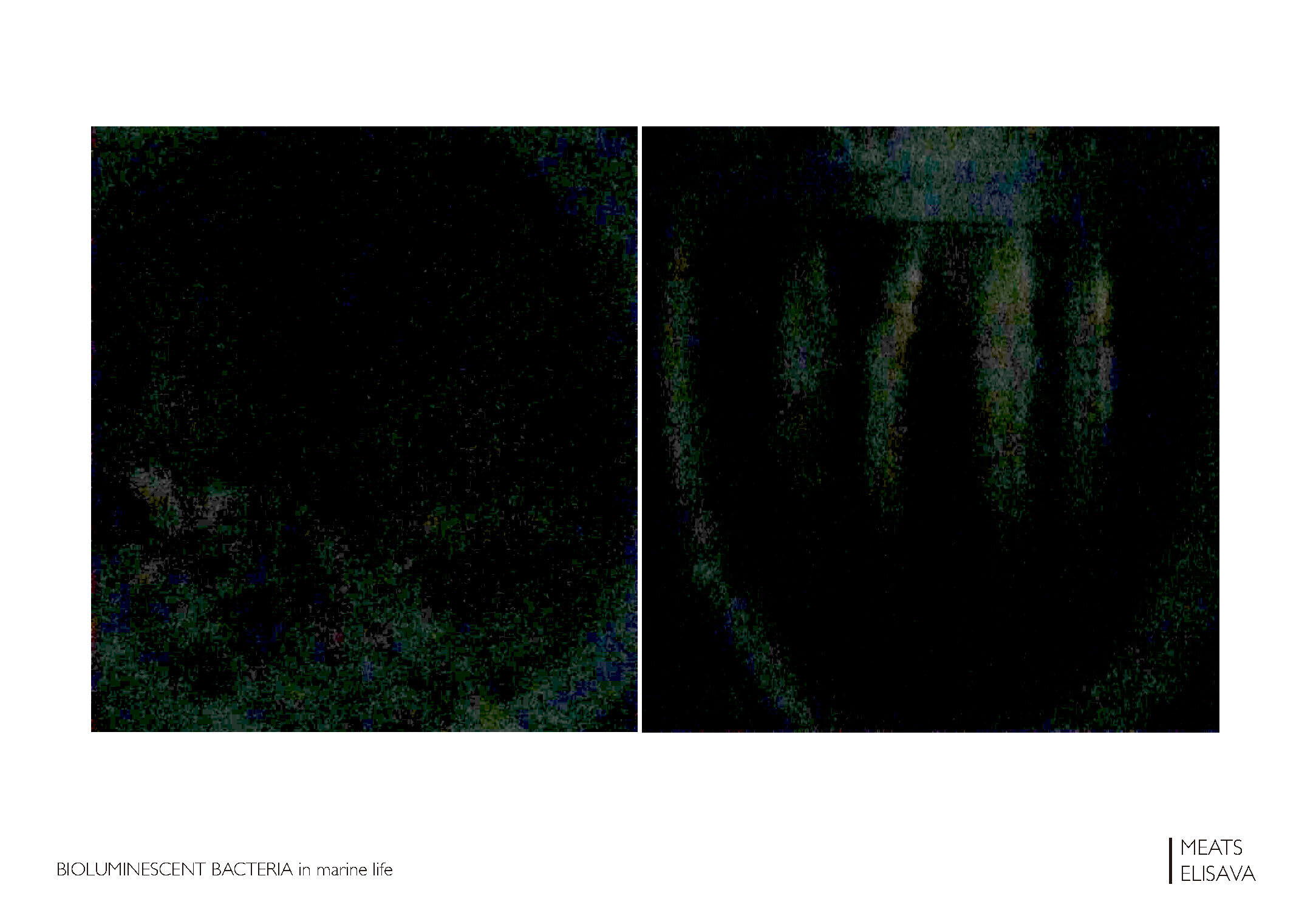 UNIT2.1 LLUMBCN HONGO - B.L.O.O.M. project _Page_06.jpg