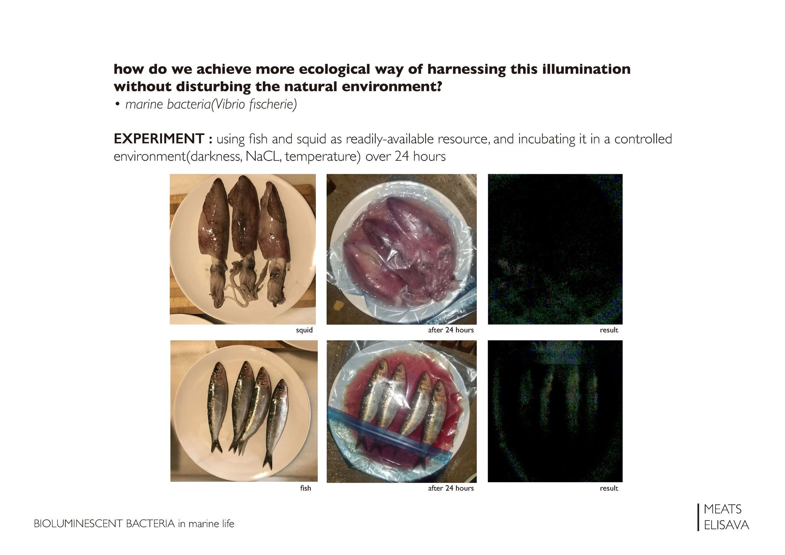 UNIT2.1 LLUMBCN HONGO - B.L.O.O.M. project _Page_05.jpg