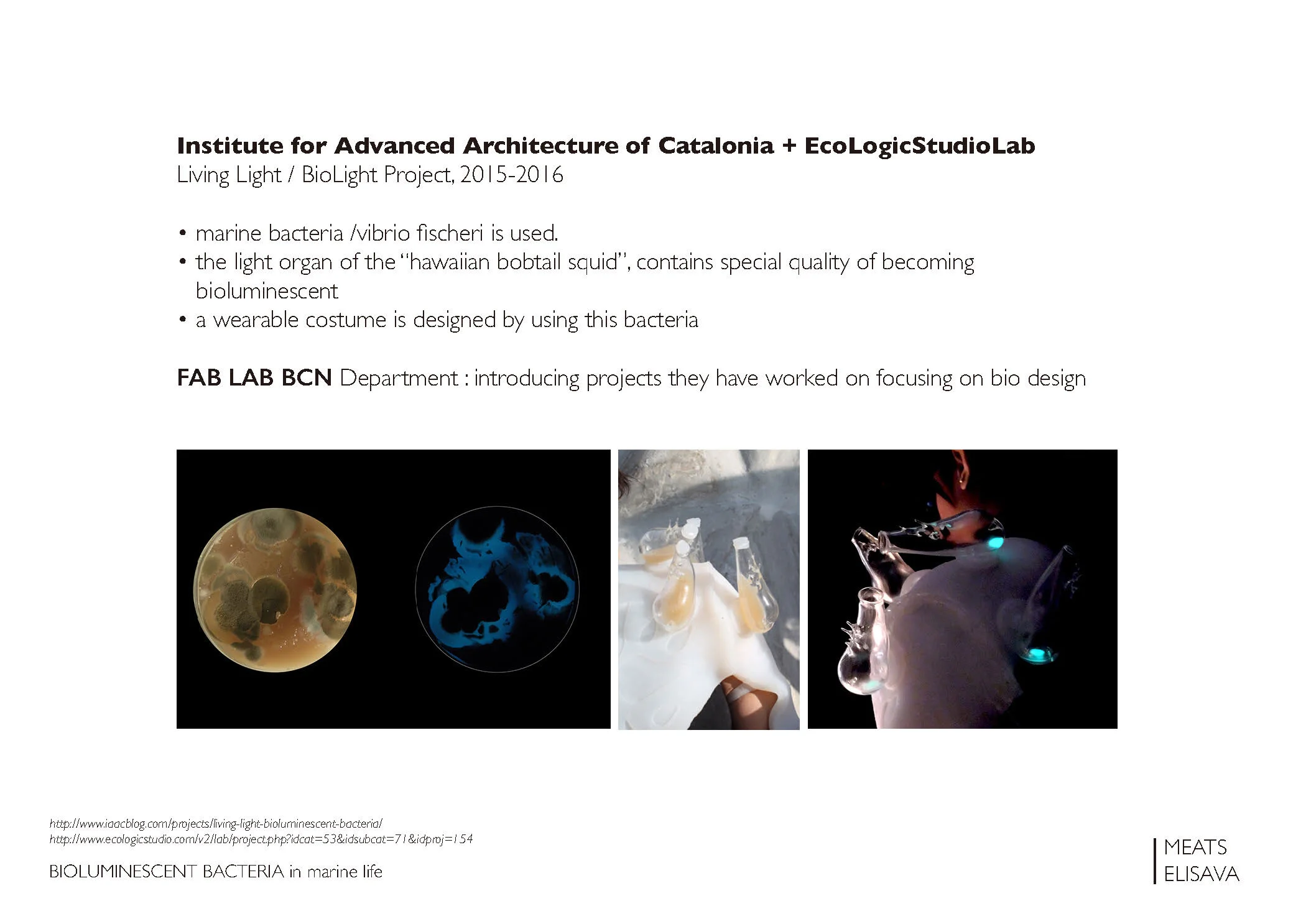 UNIT2.1 LLUMBCN HONGO - B.L.O.O.M. project _Page_08.jpg