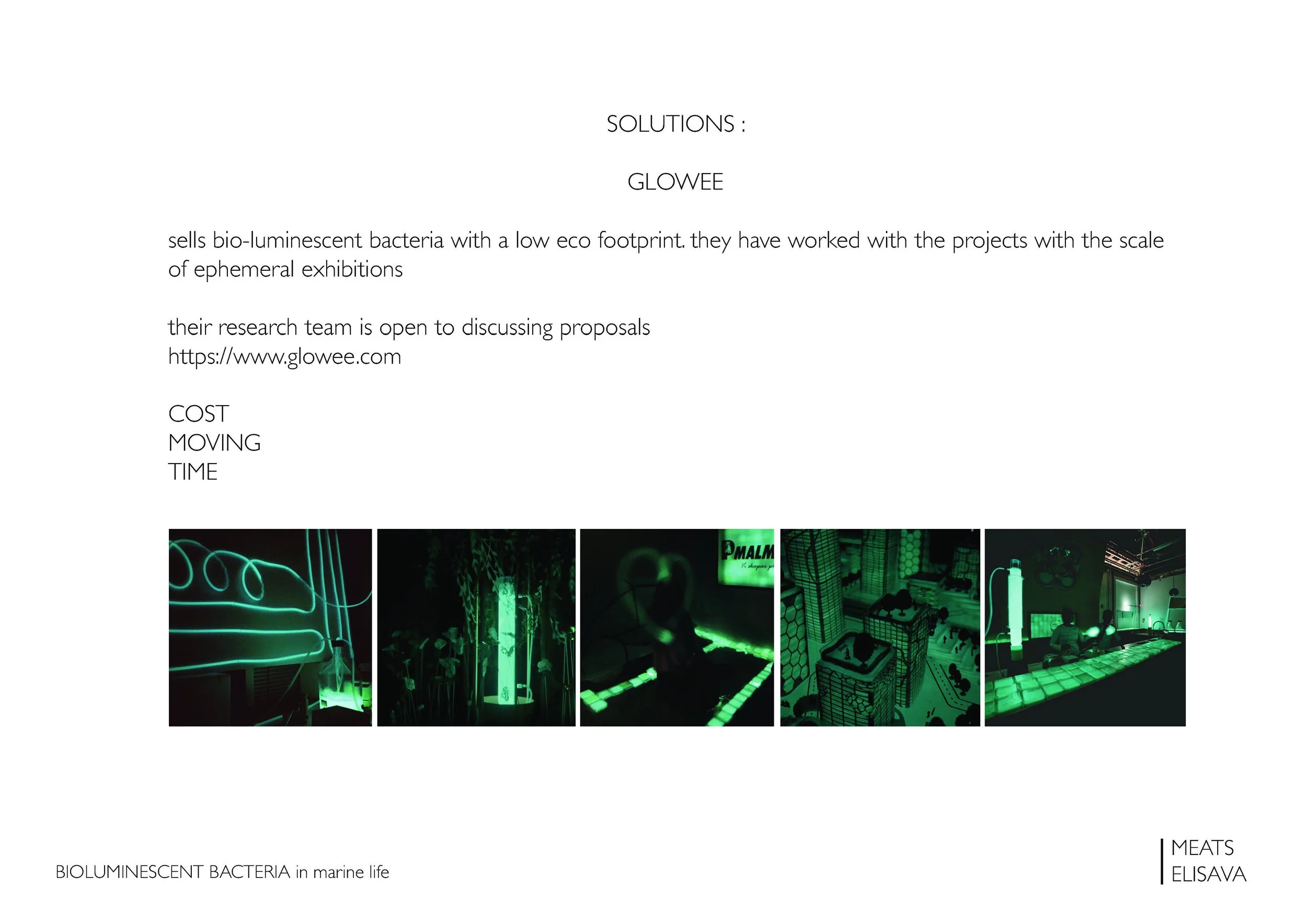 UNIT2.1 LLUMBCN HONGO - B.L.O.O.M. project _Page_09.jpg