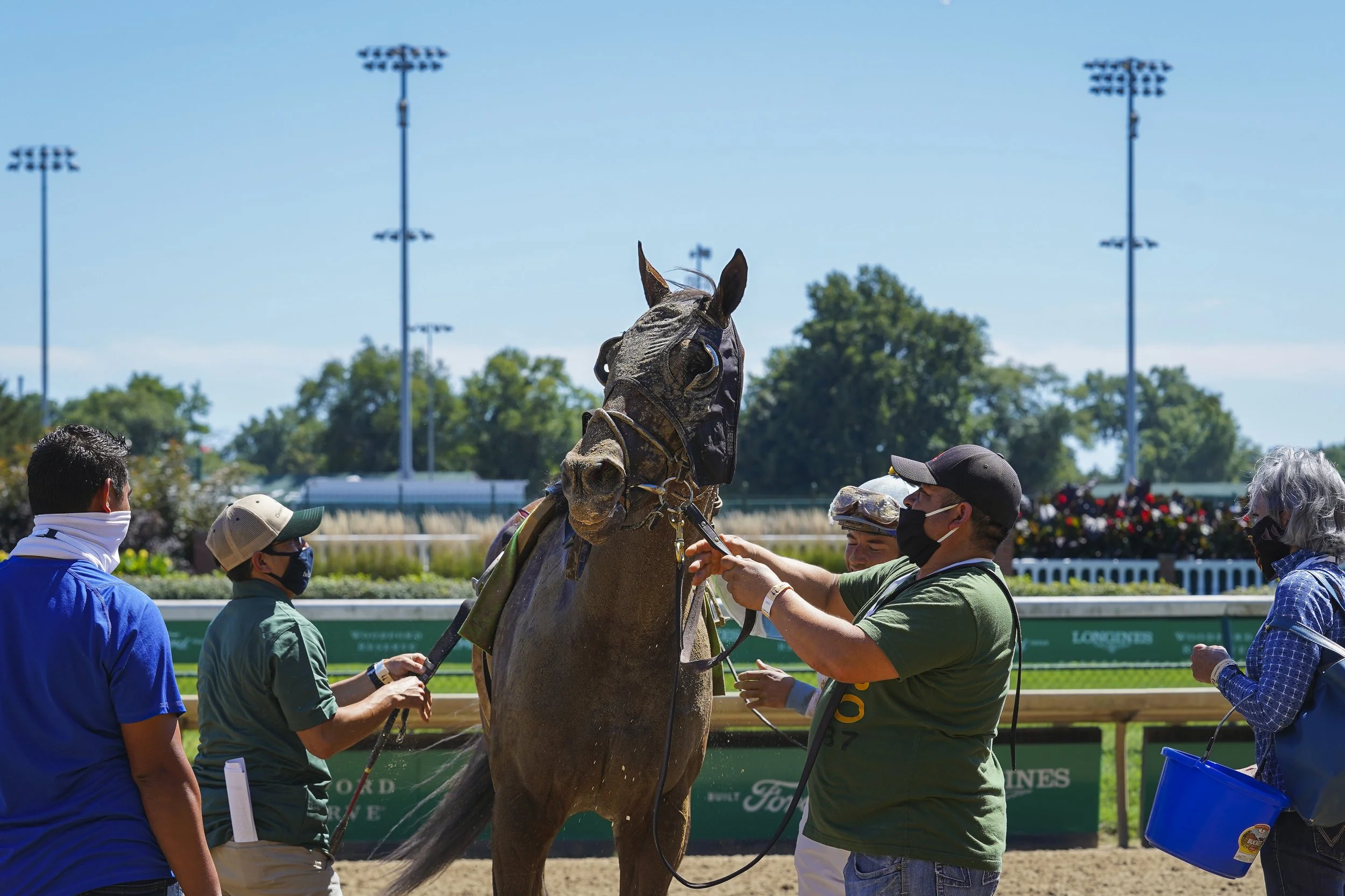 2020_DERBY_HORSE_By Stephanie Wolf.jpg