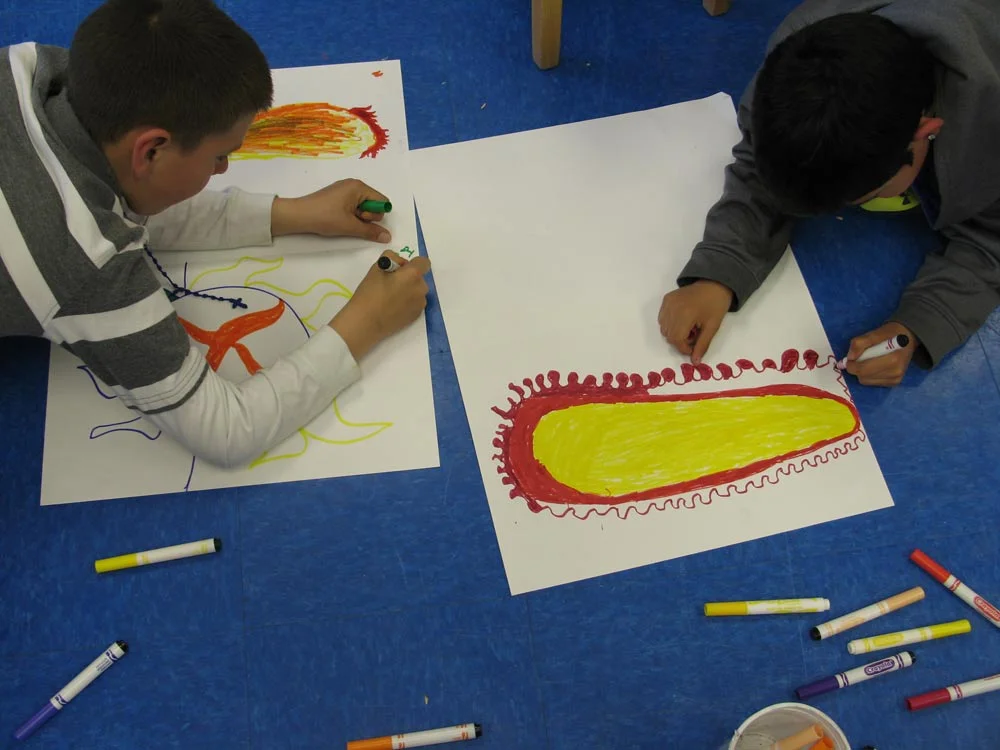 Seed-Drawing-3.jpg