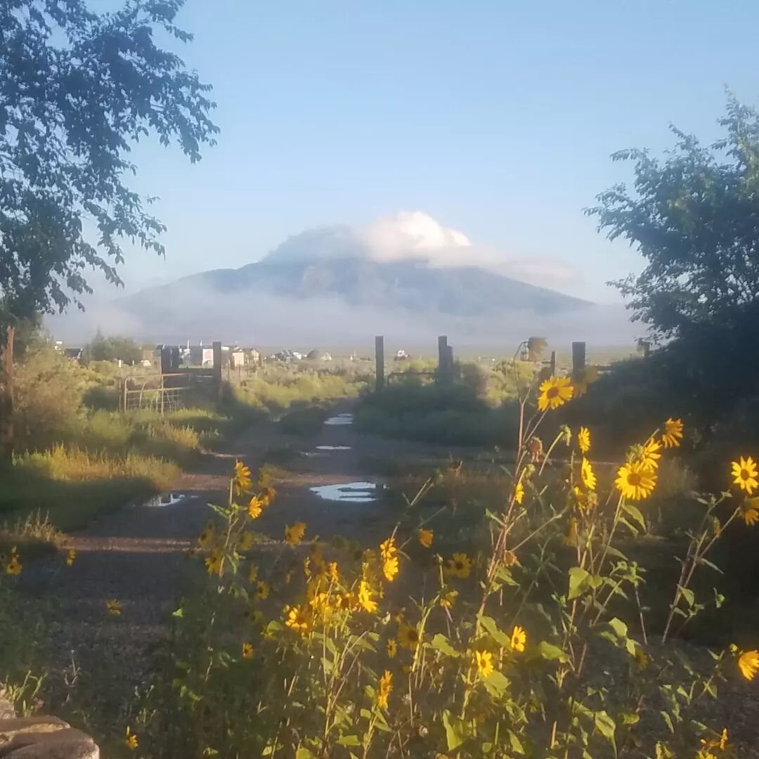 Late summer in Sunshine Valley, view to the North down our driveway this morning. Cloud hat on Ute Mountain means more rain coming today. We are so grateful for these wonderful rains after such intense drought, but now many are experiencing flooding.