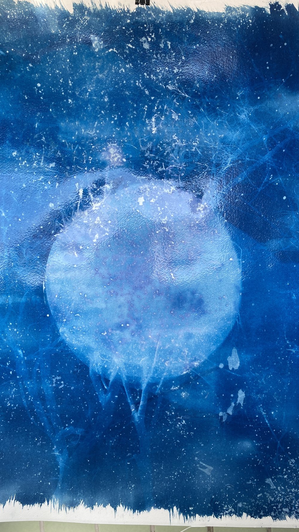 Cyanotype Example Developed - 1.jpg