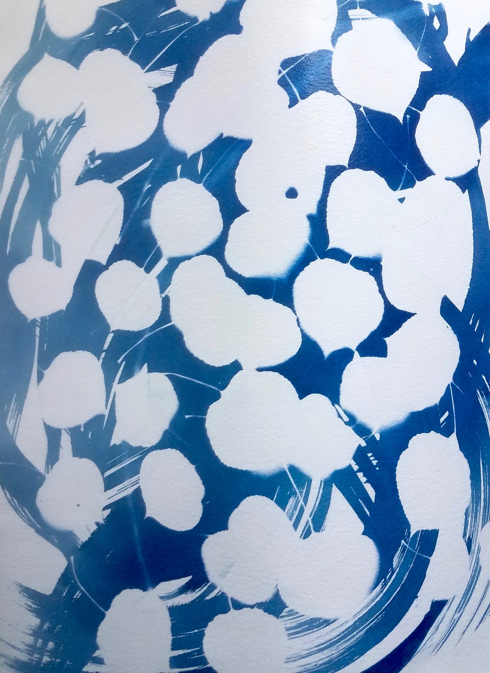 Cyanotype Example Developed - 1.jpg