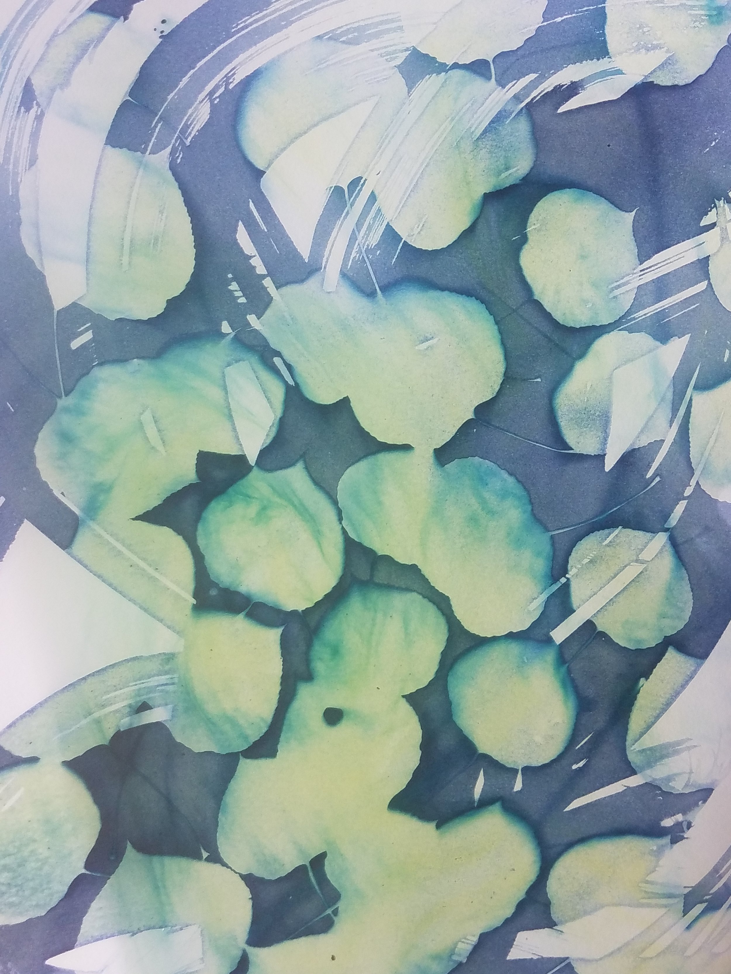 Cyanotype Example Washing - 1.jpg