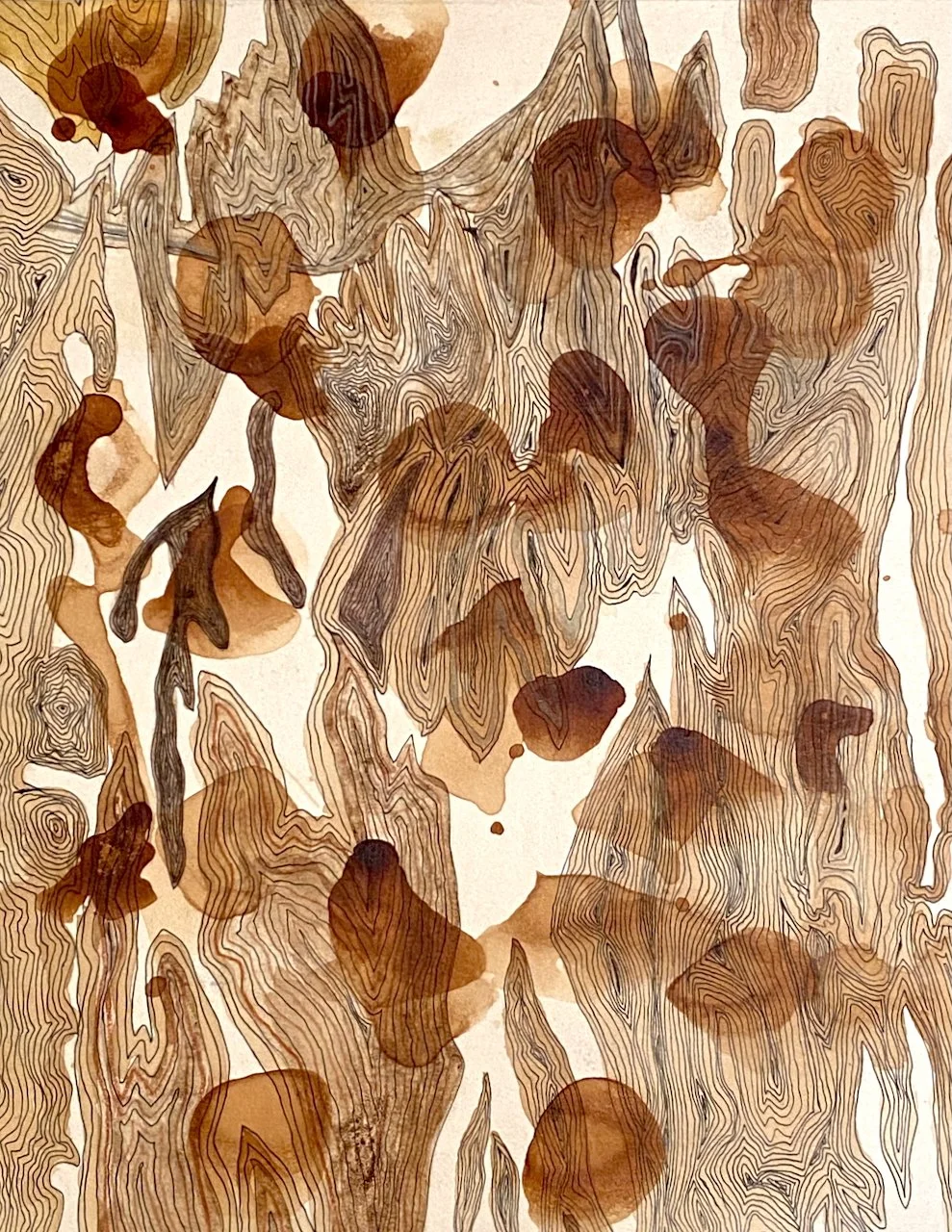 Library - 4 of 14.jpeg