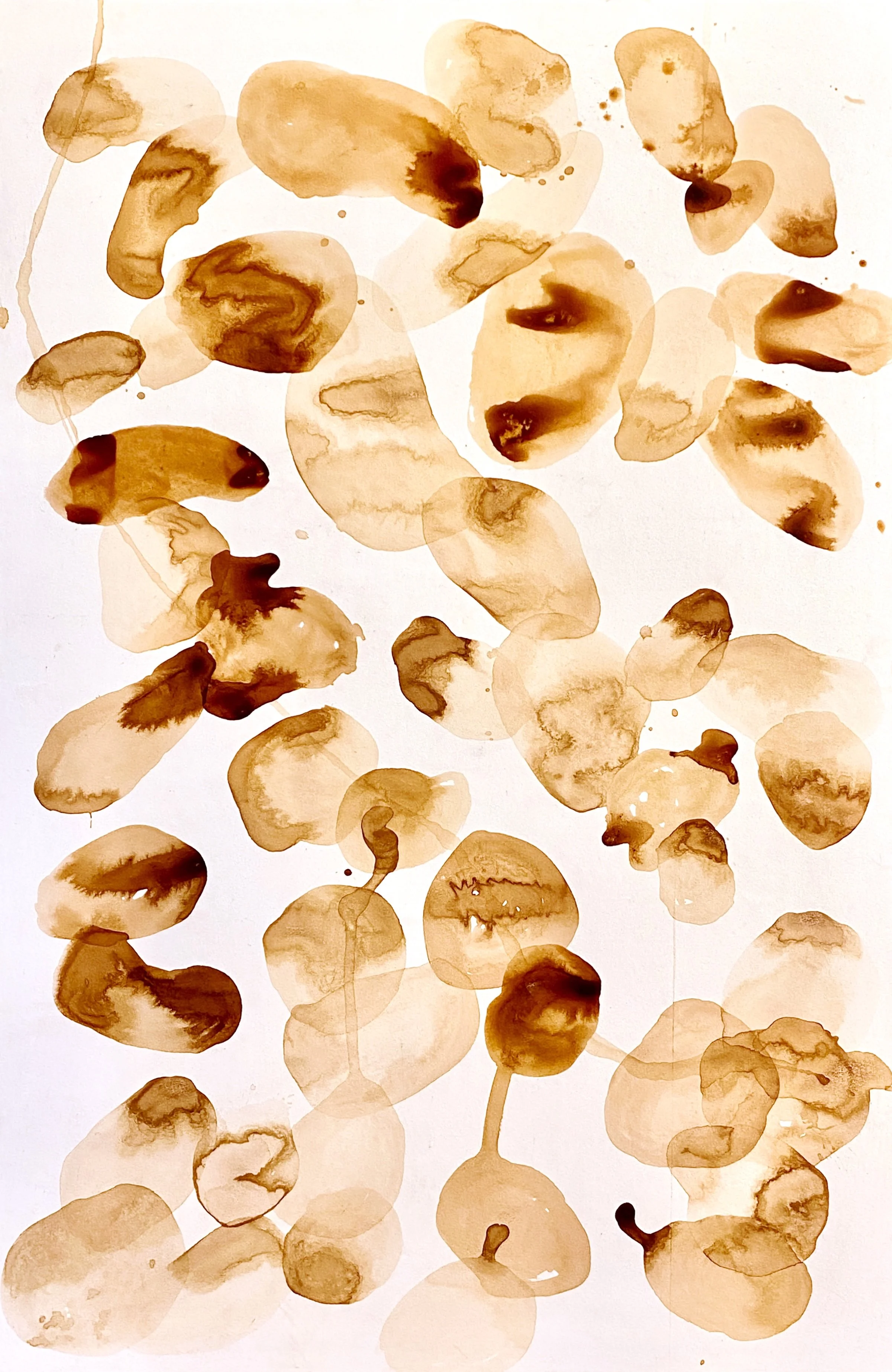 Taos Abstract Artist Collective Spring Exhibition 2026