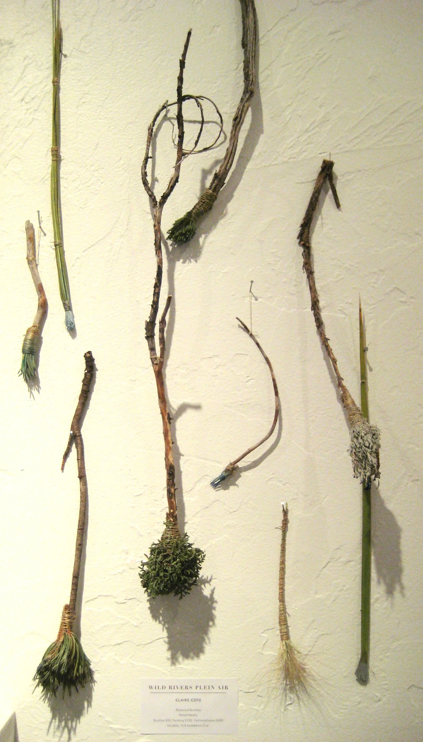 Botanical-Brushes-OCHO-2017.jpg