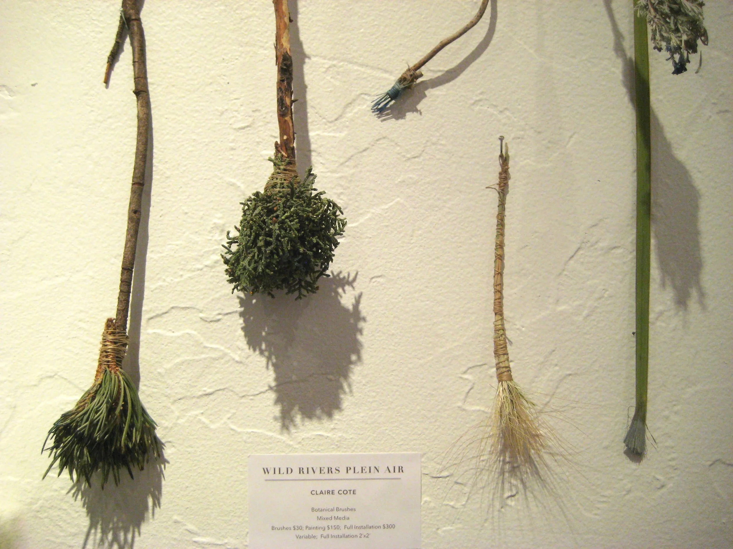 Botanical-Brushes-Process - 1.jpg