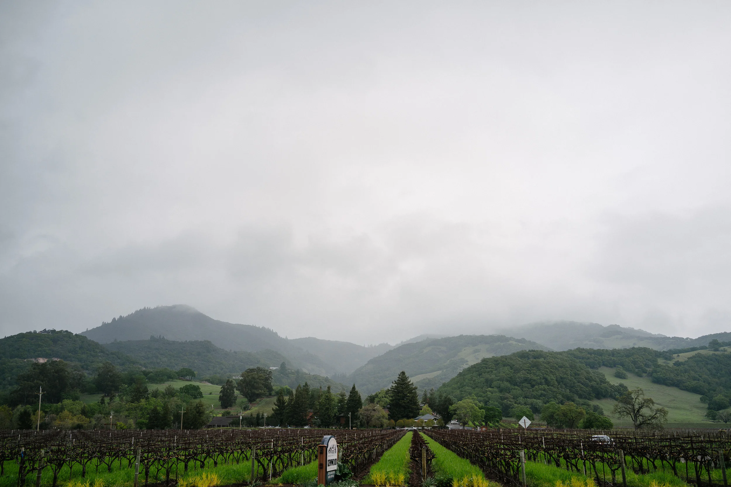 PNW 2014 - 24.jpg