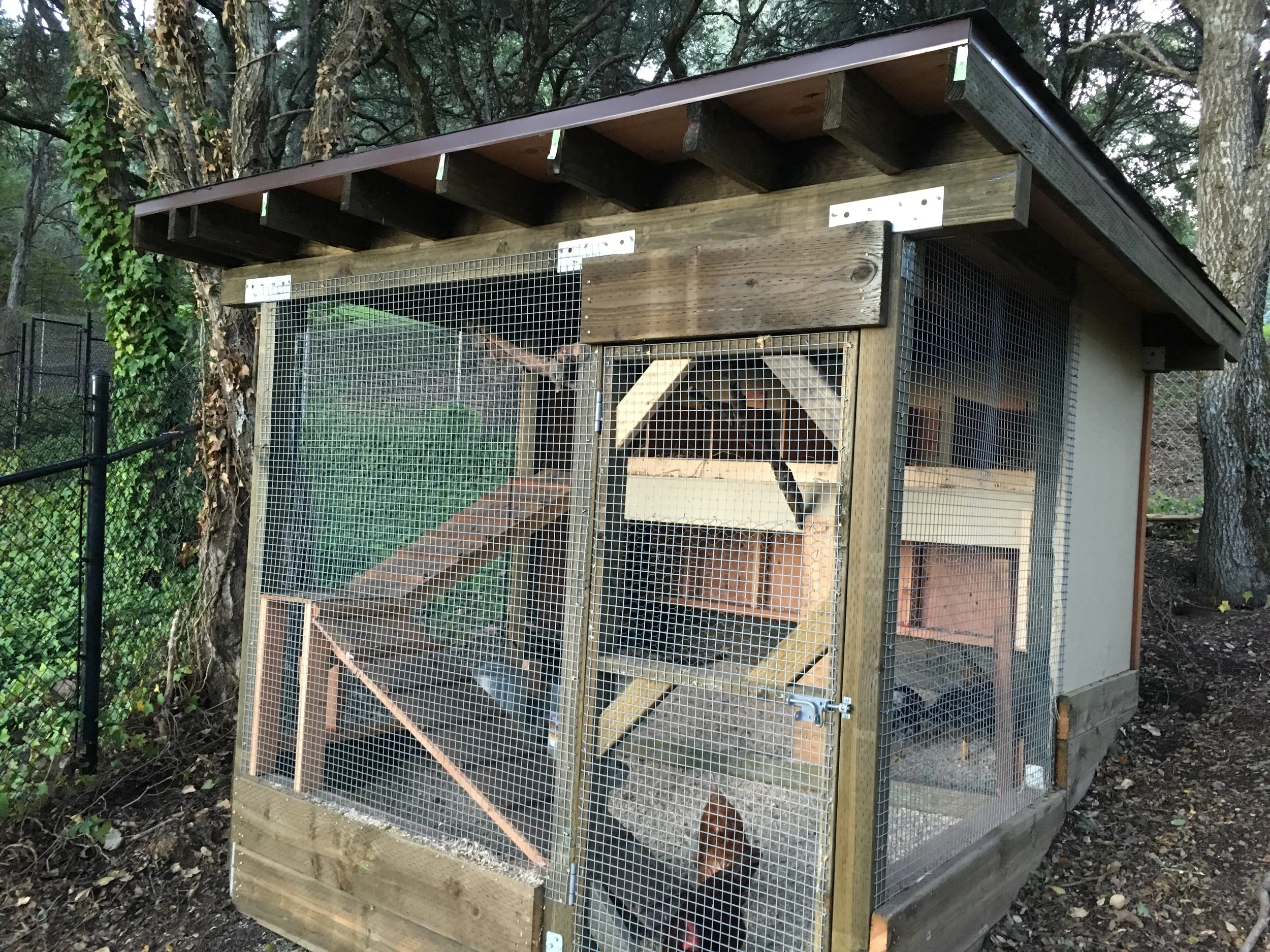Structure is 10' X 10' with 6 laying boxes. 