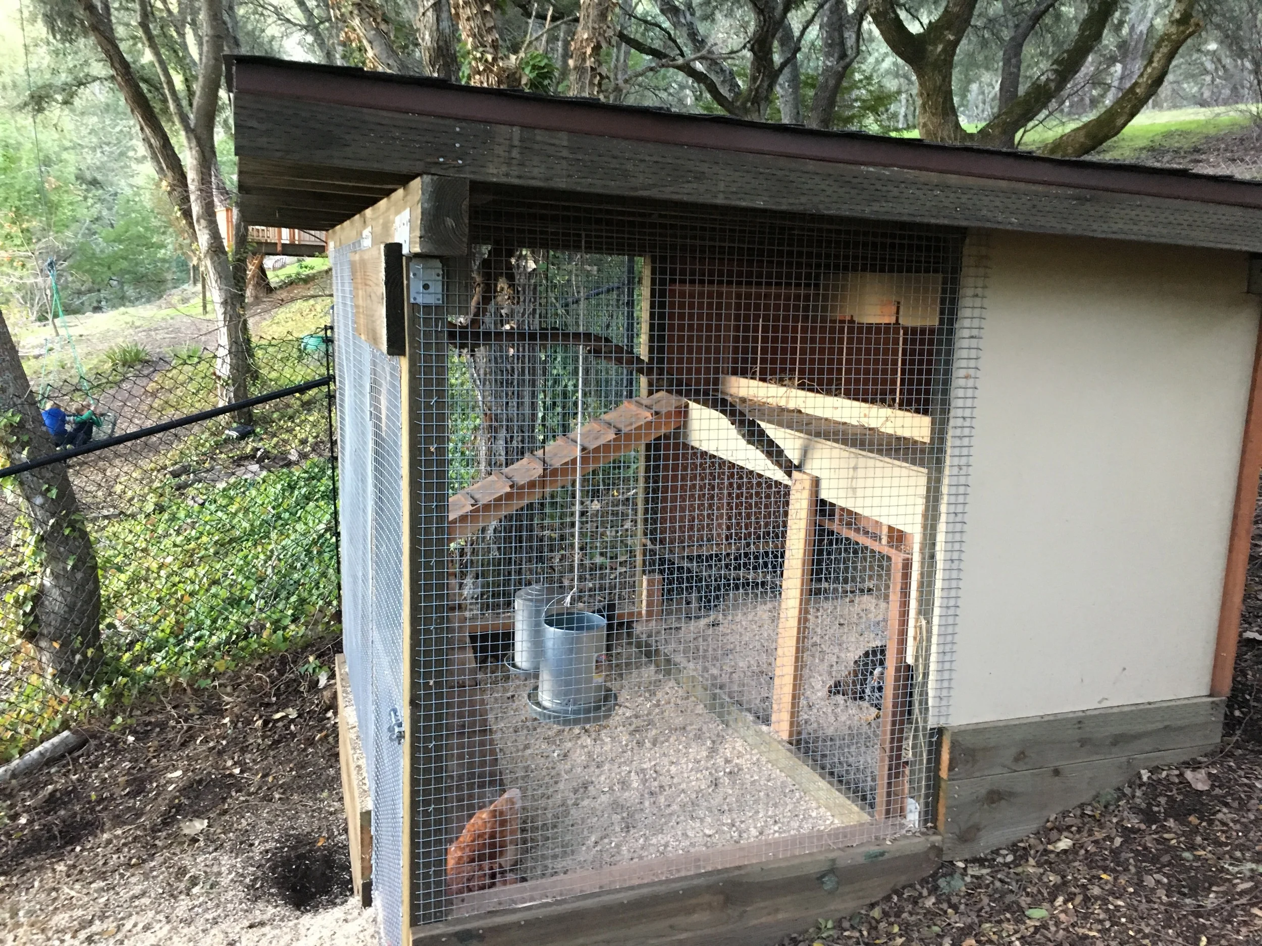 Wire fabric was used at all floor areas, wrapped up the walls and secured to prevent critter intrusions. Gravel and pine shavings cover the wire fabric.
