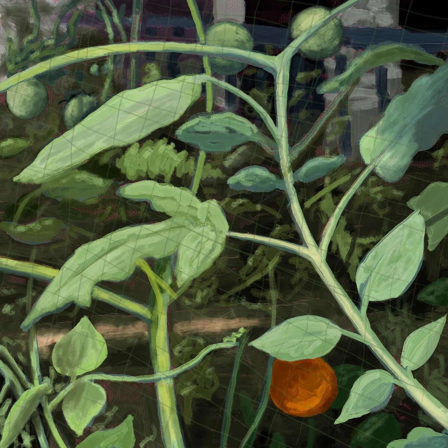 🍅 t&rsquo;maters

#procreate #procreateart #procreatepainting #digitaldrawing #digitalpainting #artistsoninstagram