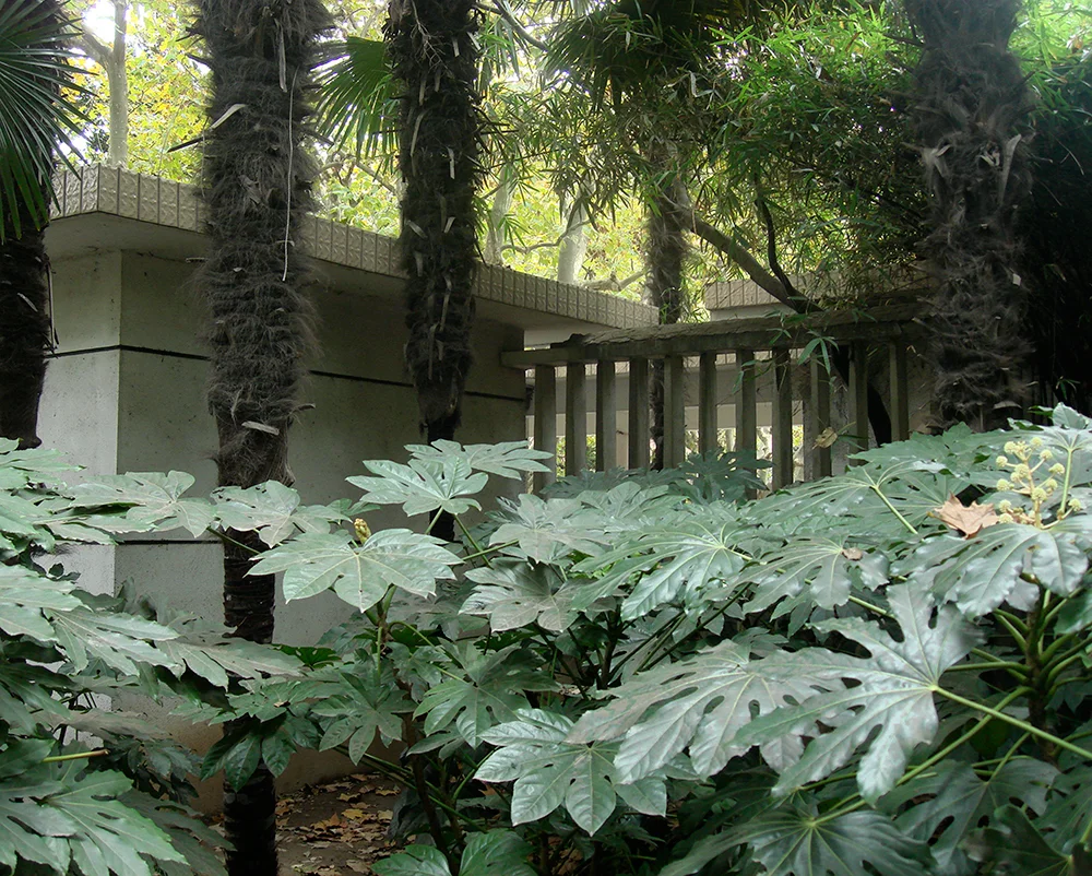 Keeley-Jungle_43x34.jpg