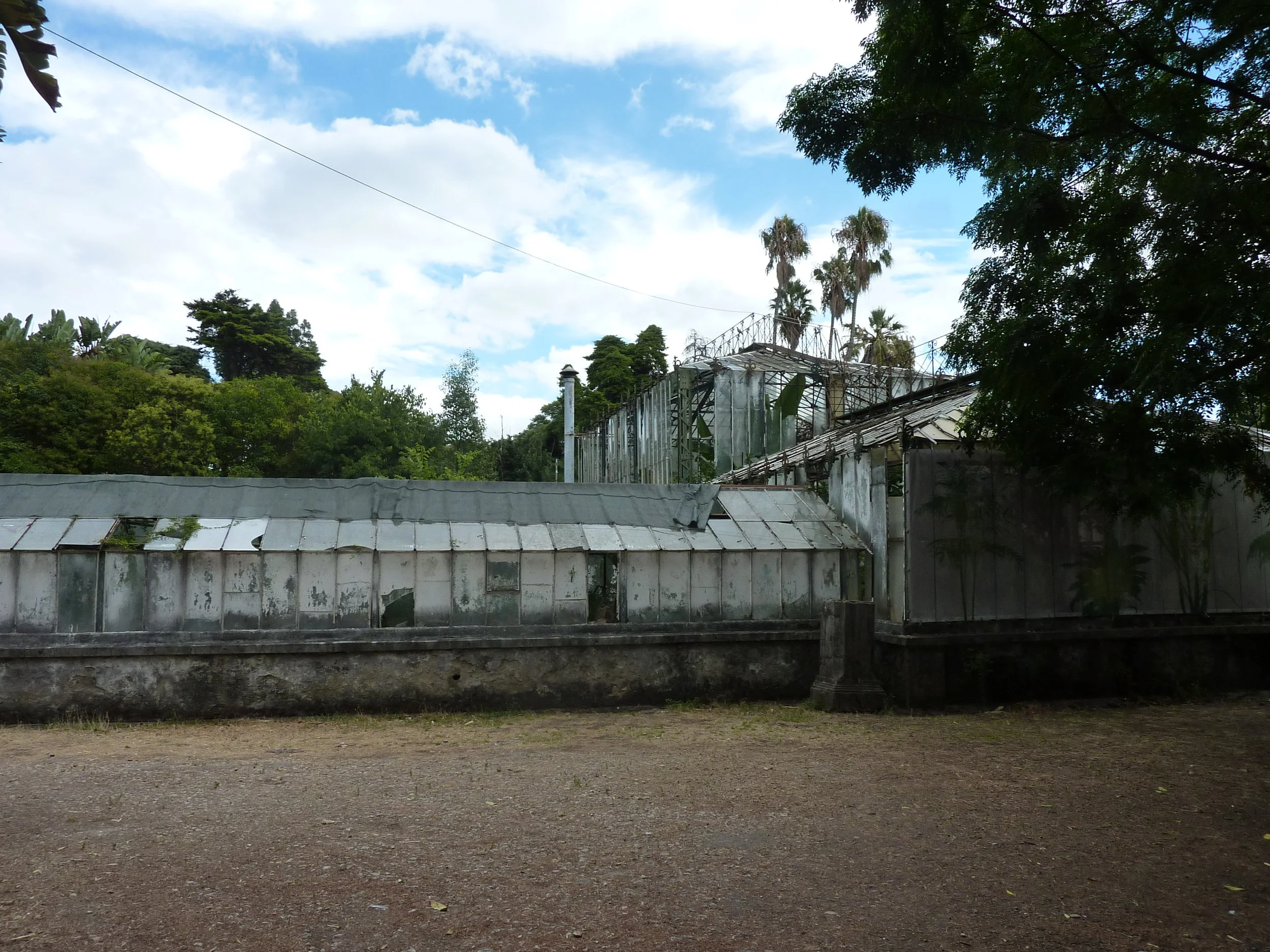  Jardim Do Ultramar / &nbsp;The Colonial Garden, Lisbon Portugal  2016  projected film / &nbsp;film stills  with thanks to the Museu Coleccao Berardo, Lisbon Portugal 
