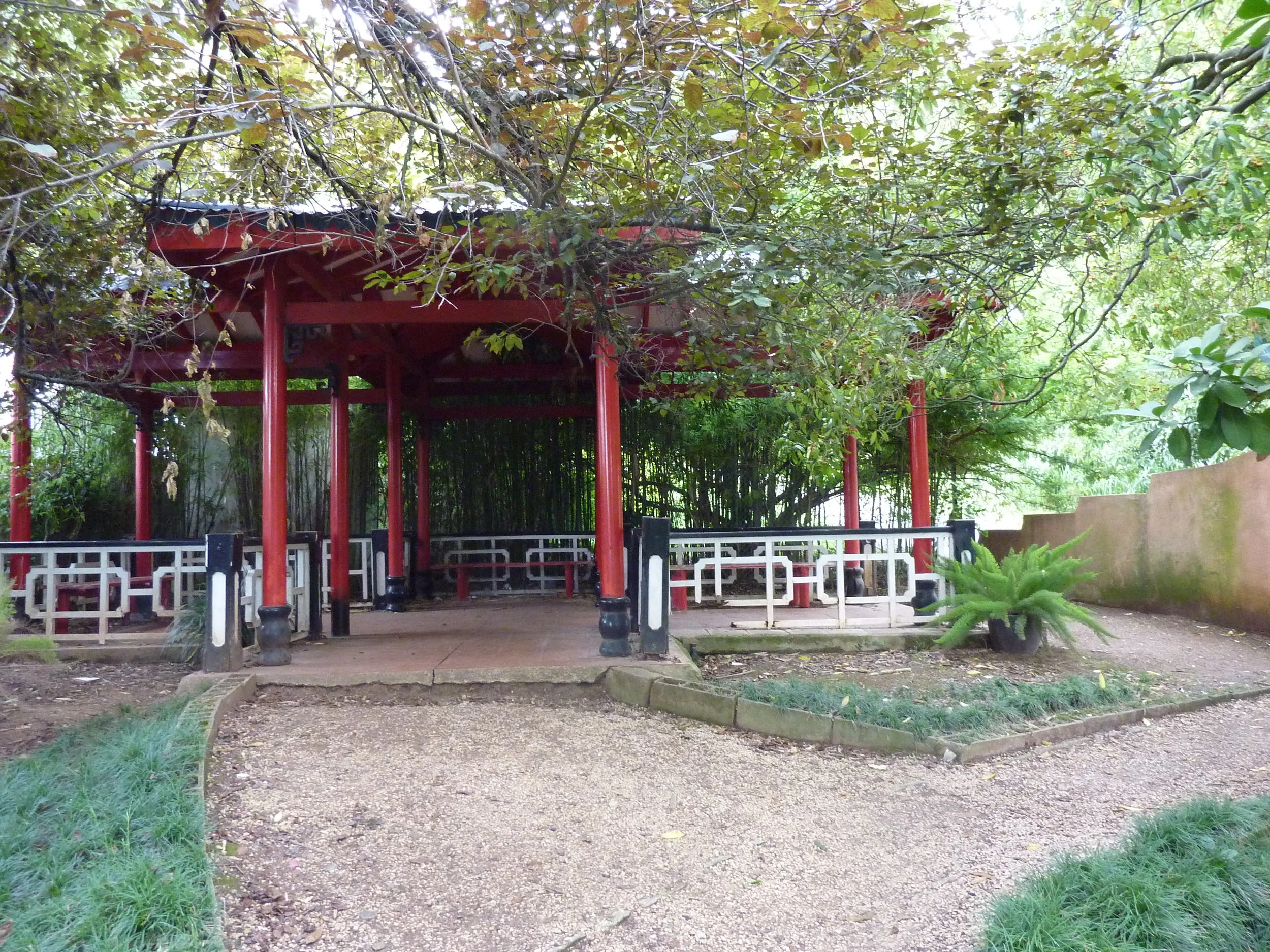 8P1050998.JPG
