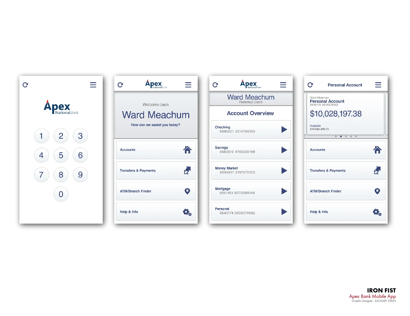 ZZirlin Iron Fist Portfolio Pages 04172017-11.jpg