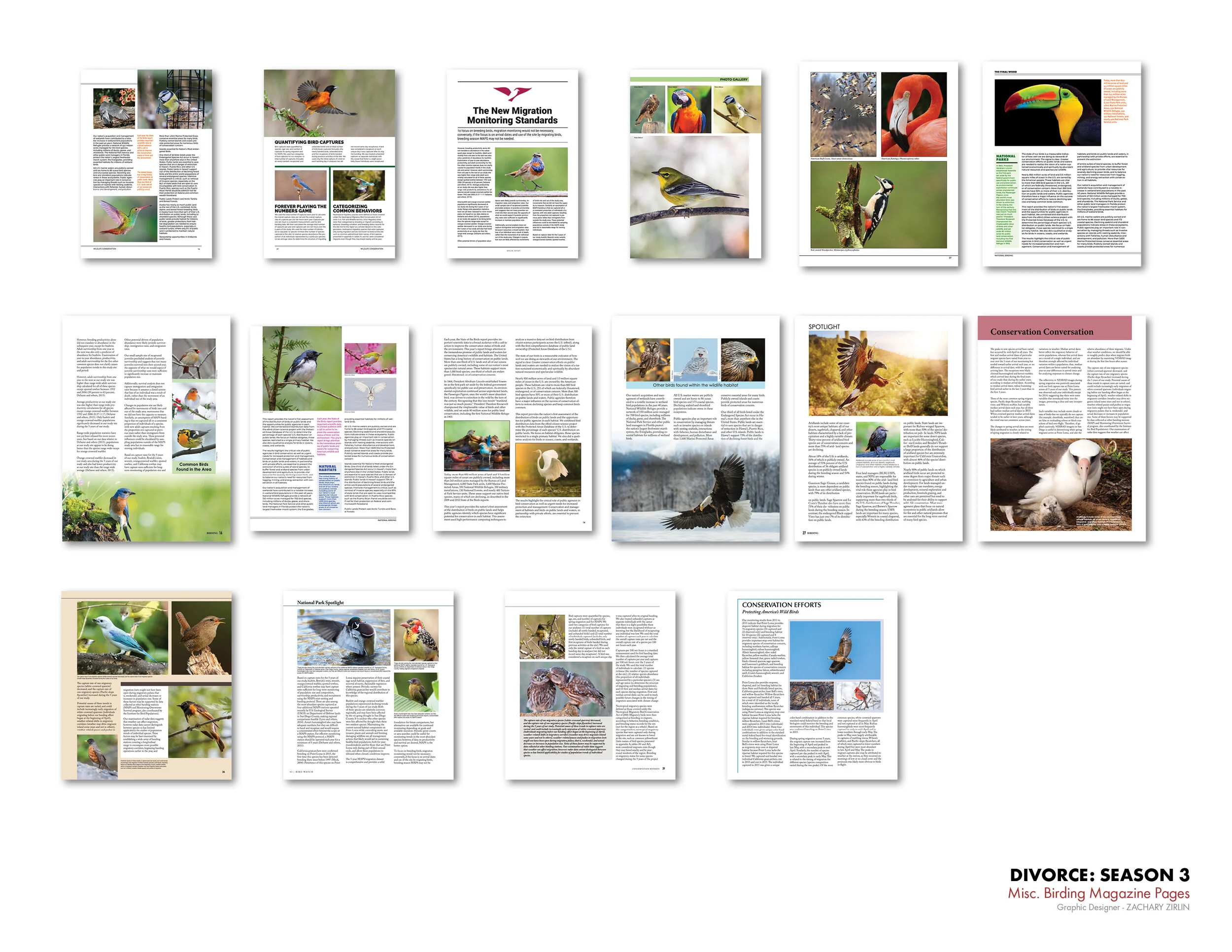 ZZirlin_Divorce-Portfolio-Pages_vR1_8.jpg