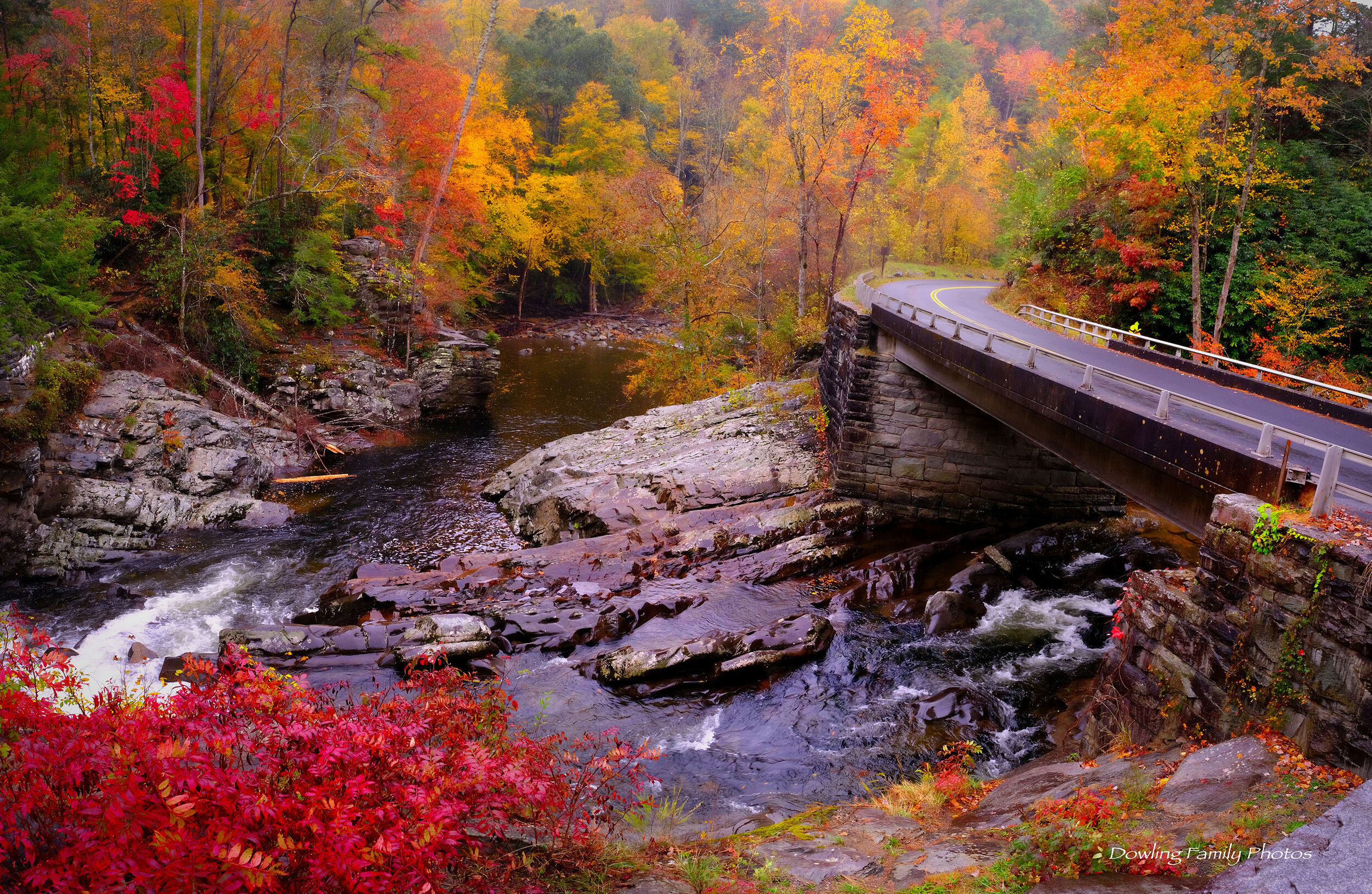 Gatlinburg Scene web 2.jpg