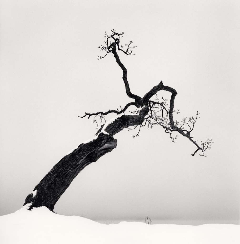  ​Michael Kenna 