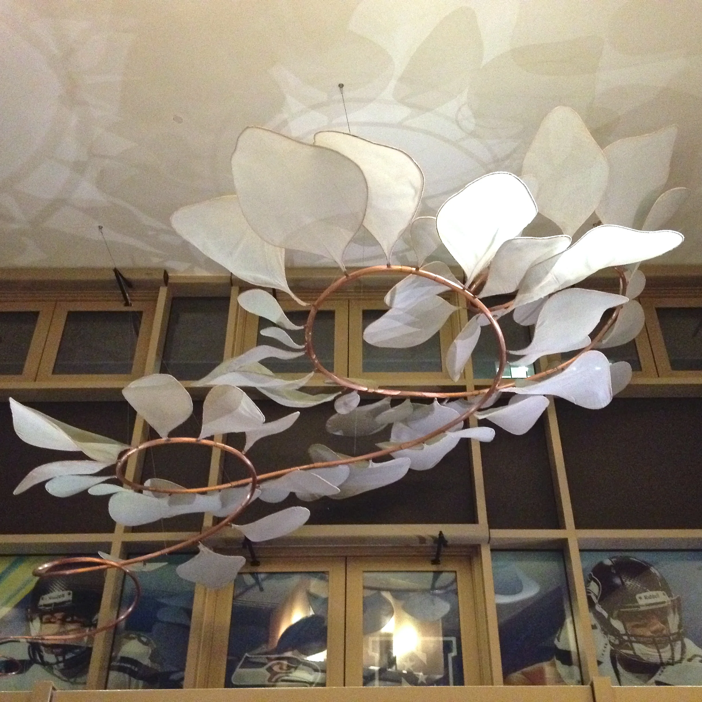 photo 5.JPG