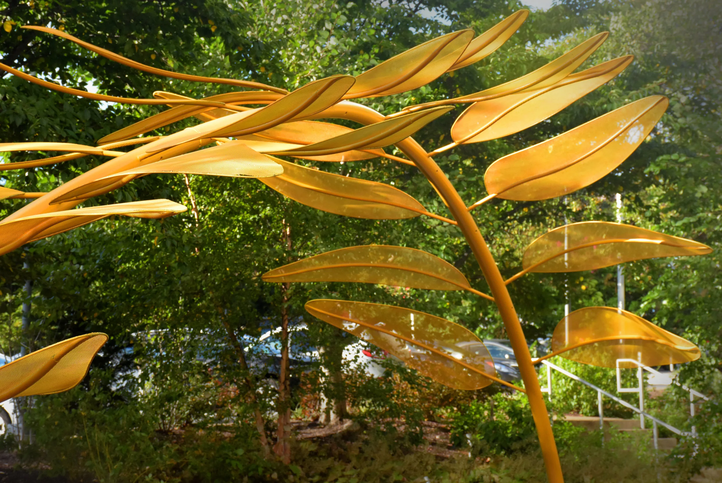 honeylocust12.jpg