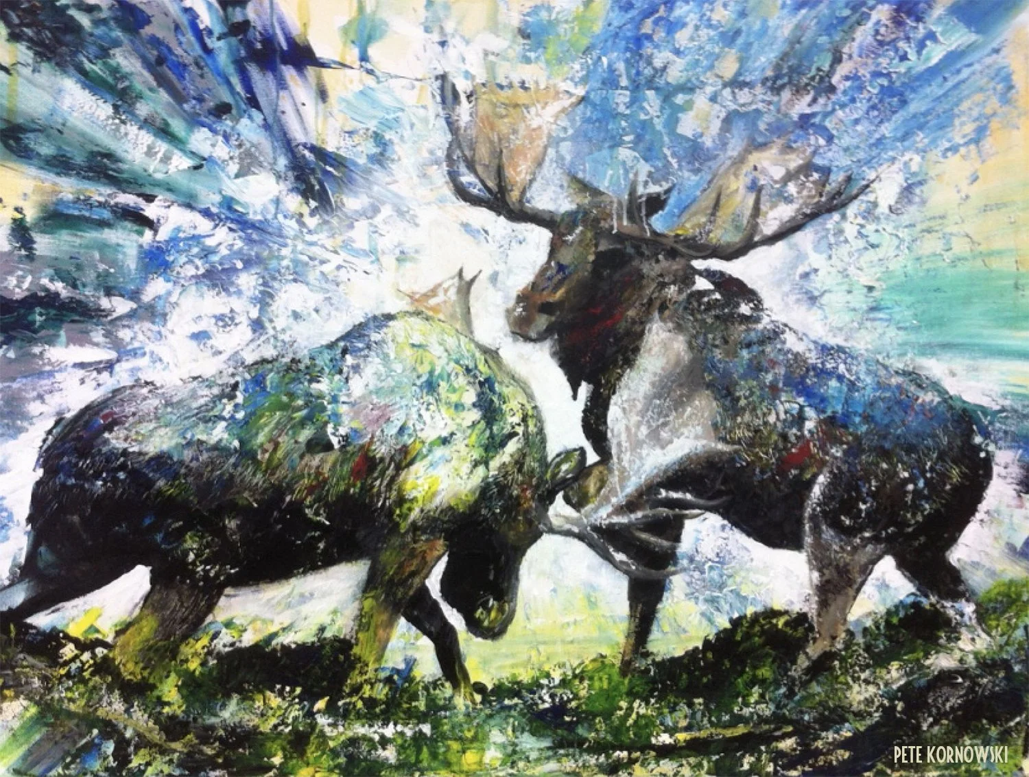 moose_battle_pete_kornowski_original_painting_2026.jpg