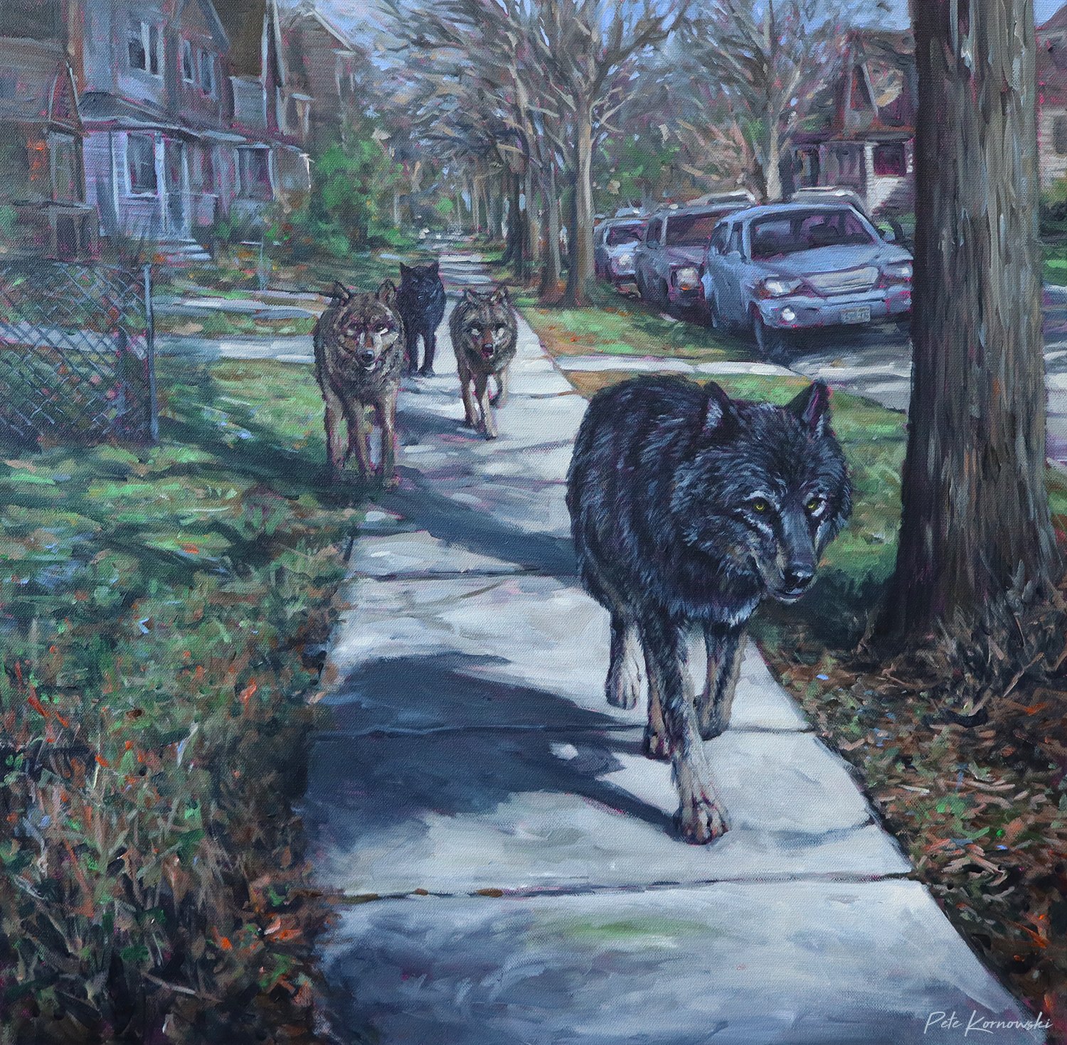 "Neighborhood Prowlers" 24x24 2025