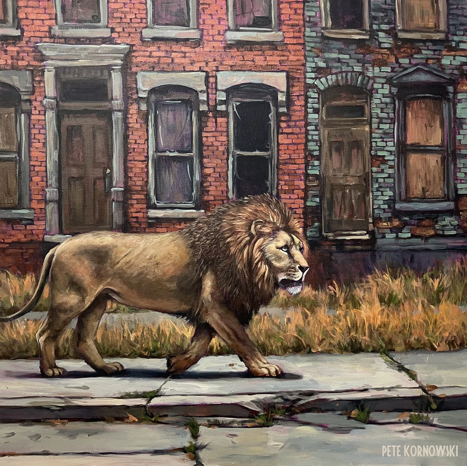 "The Urban Lion" 24x24 2025