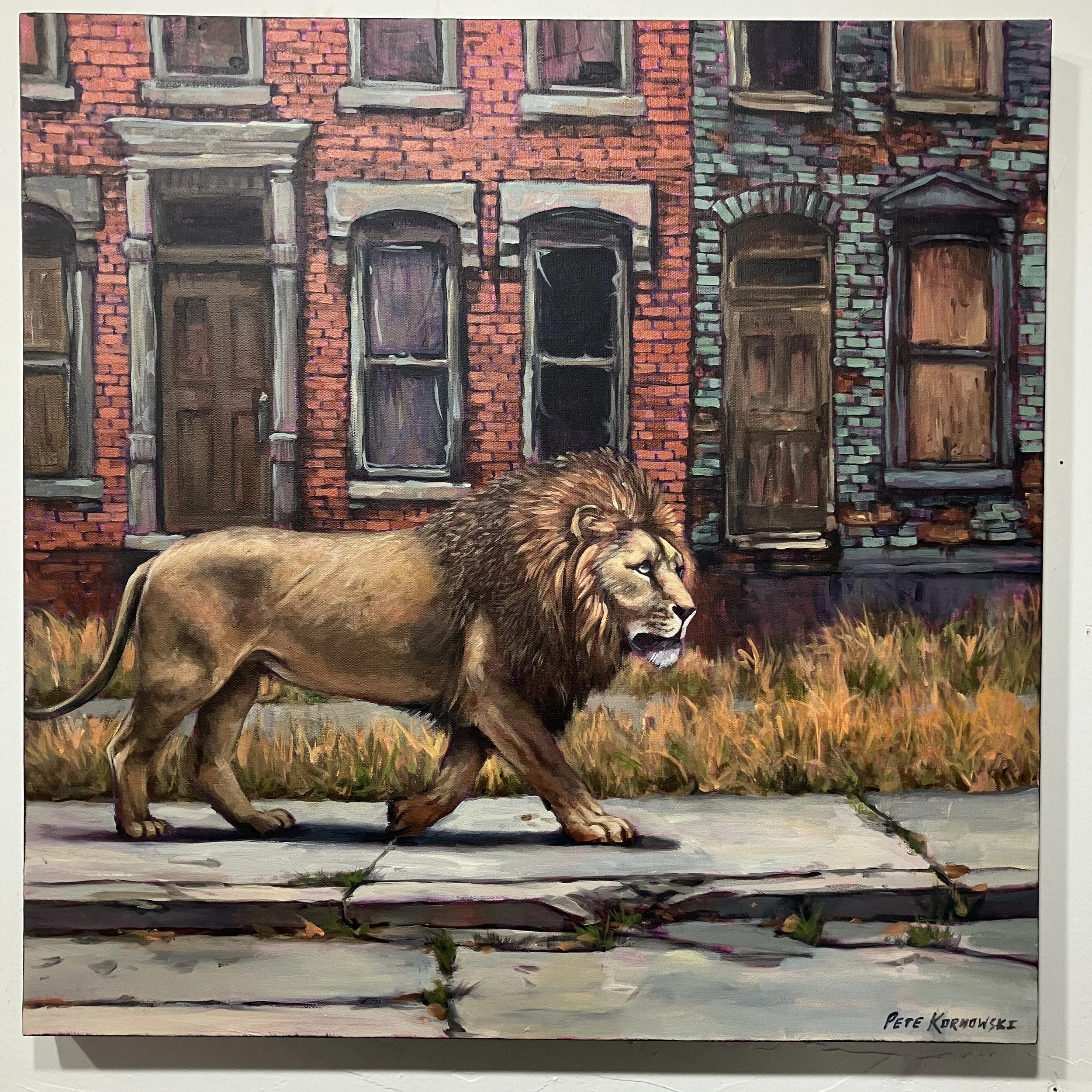 pete-kornowski-urban-lion-01.jpg