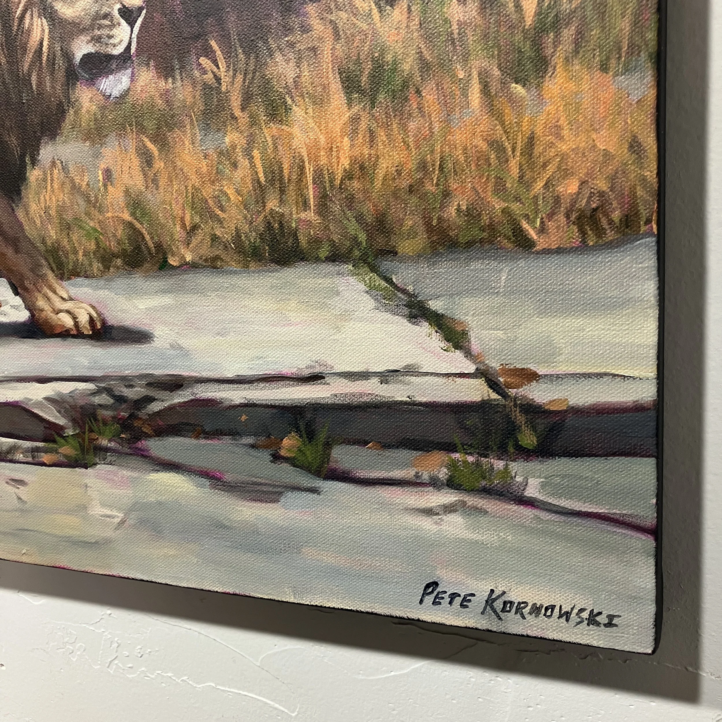 pete-kornowski-urban-lion-03.jpg