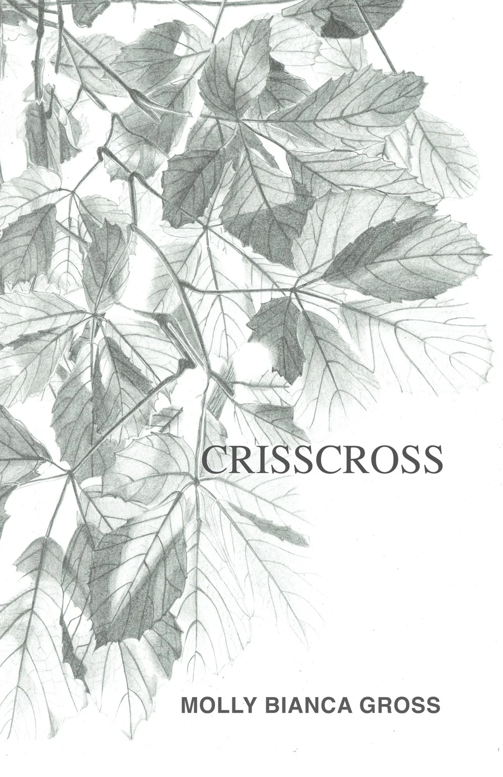 front_cover.jpg